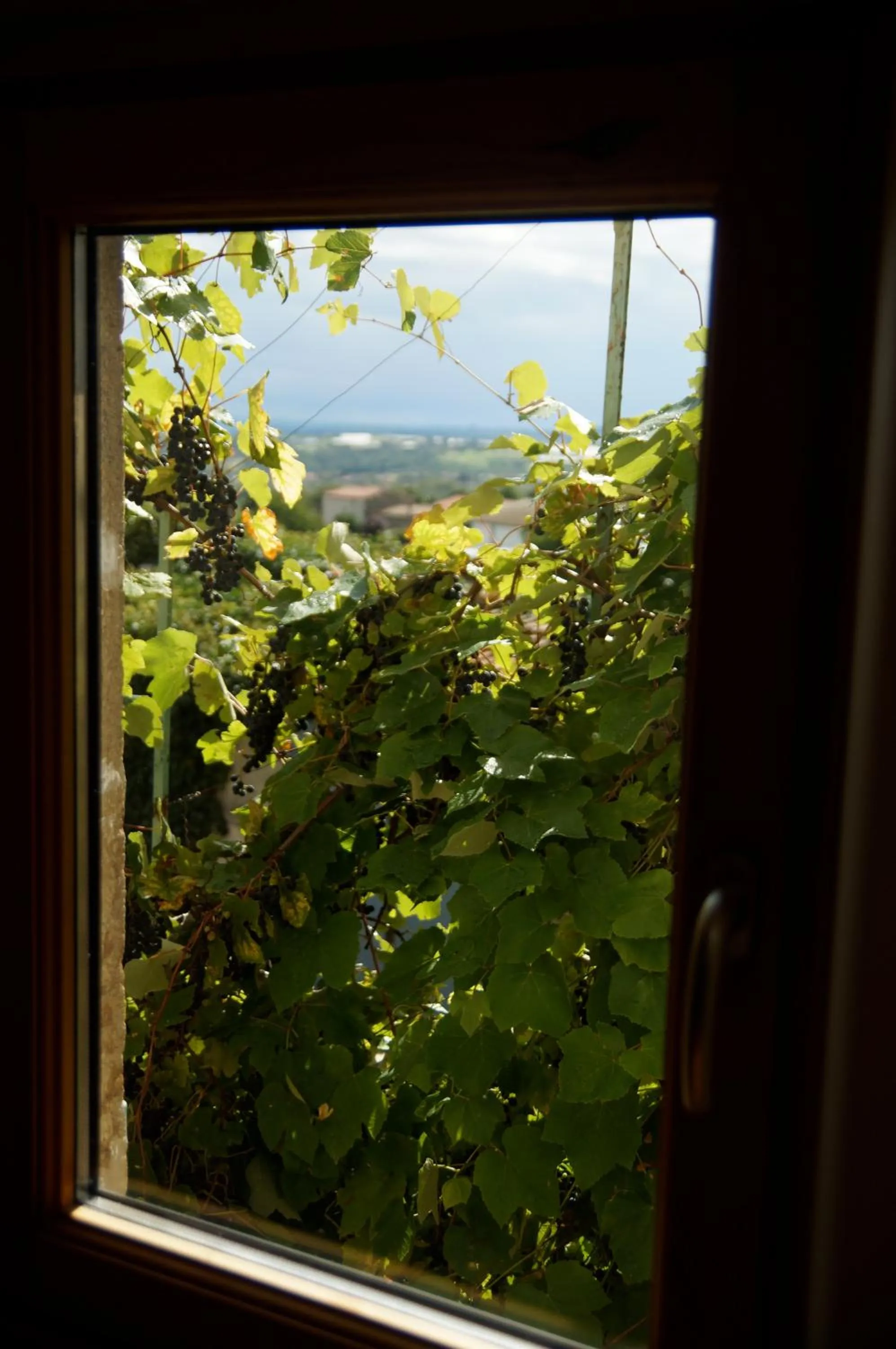 View (from property/room) in Le Grand Noë