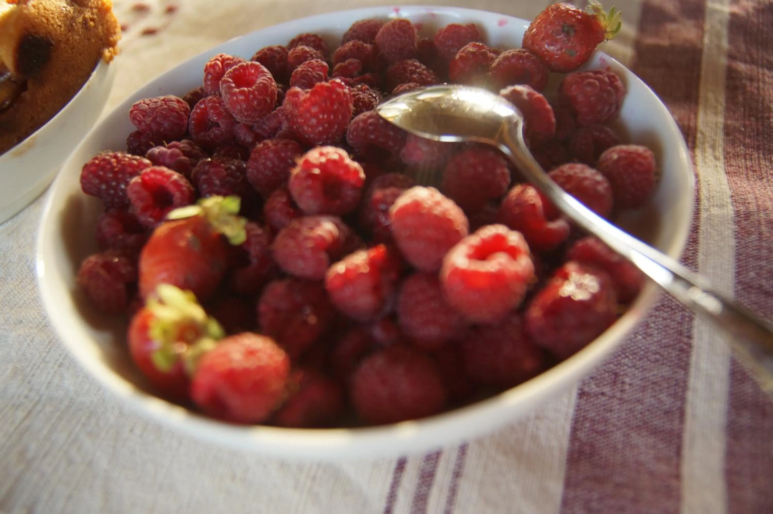 Buffet breakfast in Le Grand Noë