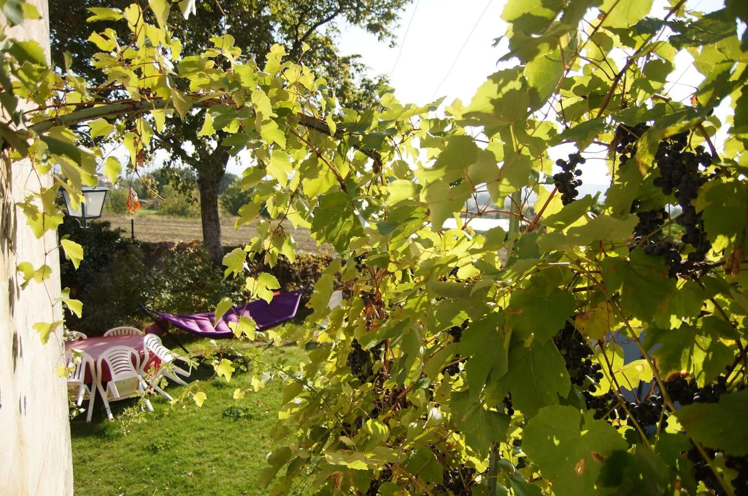 Garden in Le Grand Noë