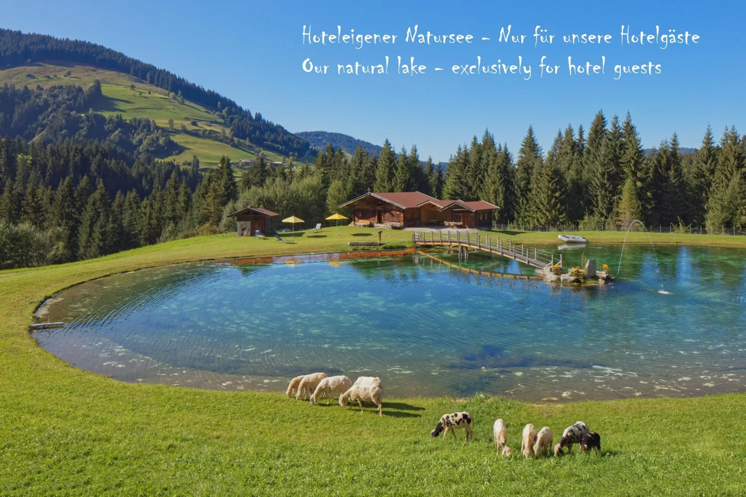 Animals in Apparthotel Talhof, Restaurant, Pool und Spa