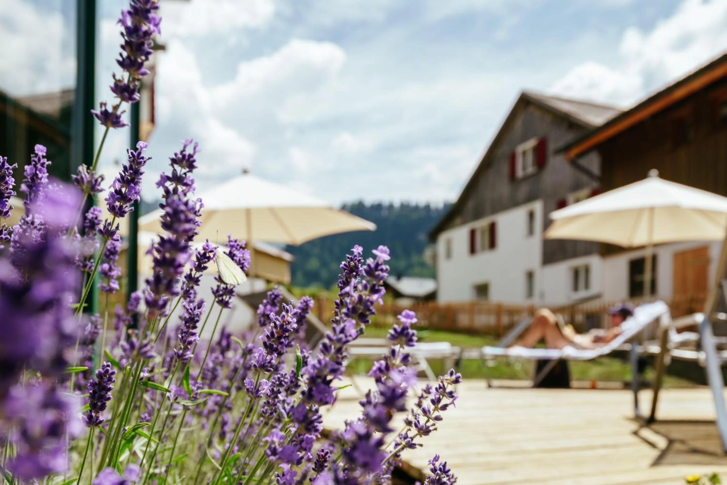 Garden in Hirschen Wohlfühlhotel Bregenzerwald