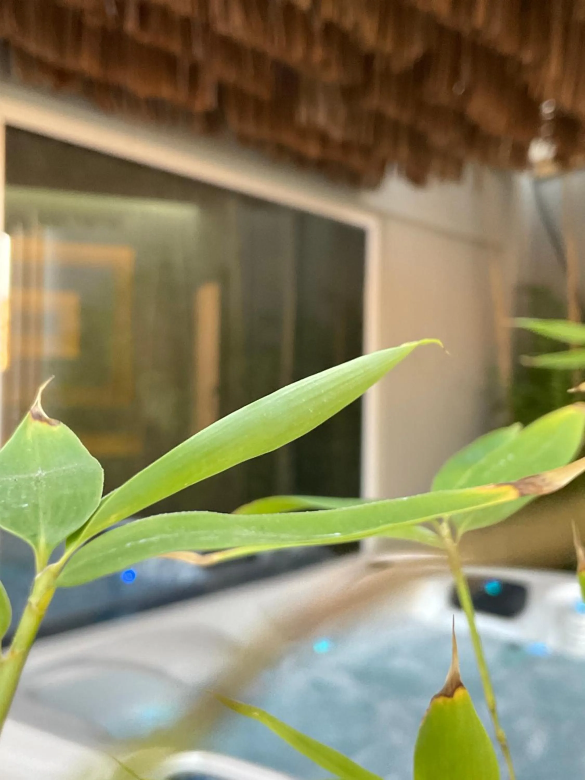 Spa and wellness centre/facilities in Athens Warehouse Boutique Hotel & Suites