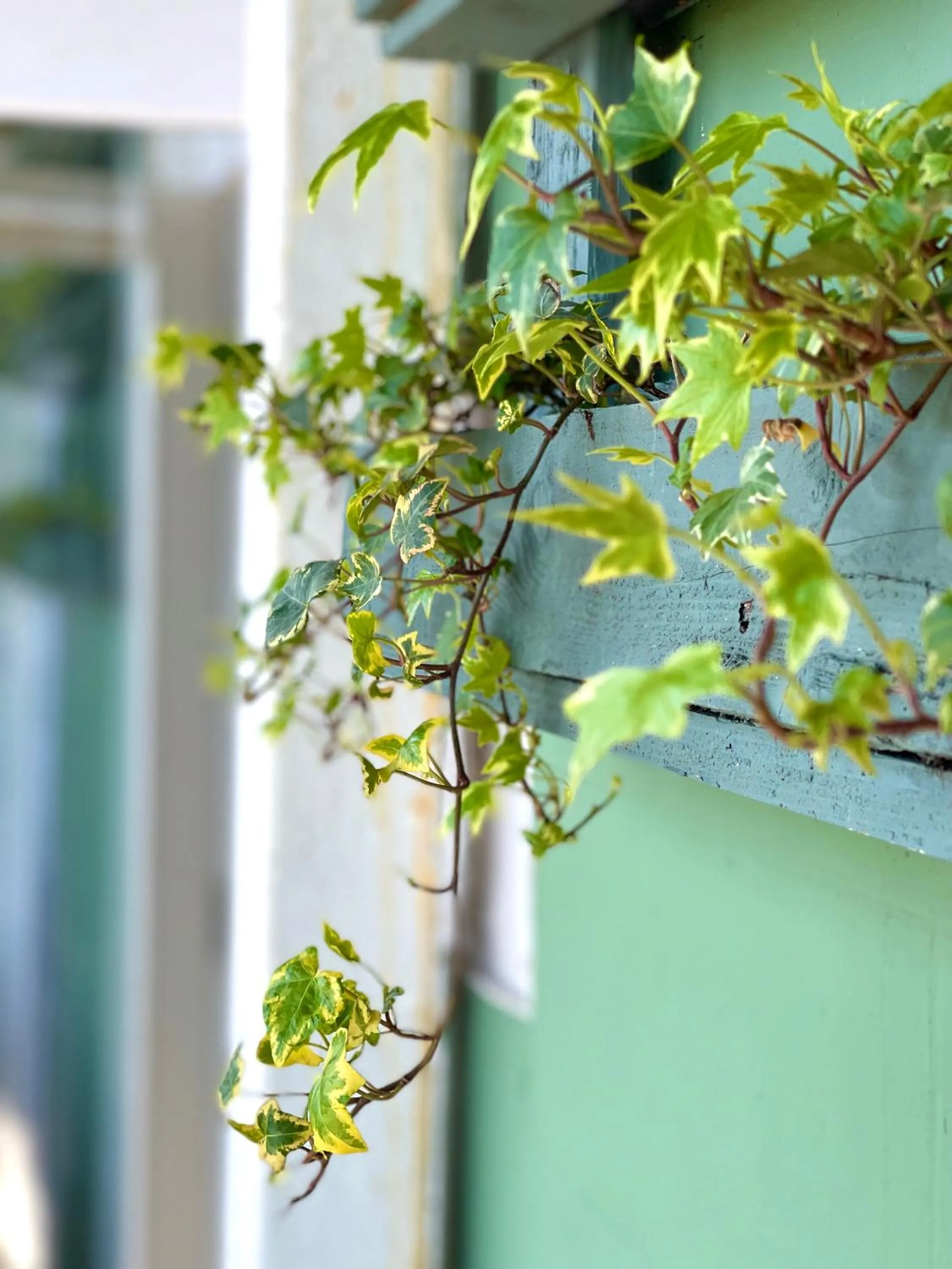 The Wellington Hotel