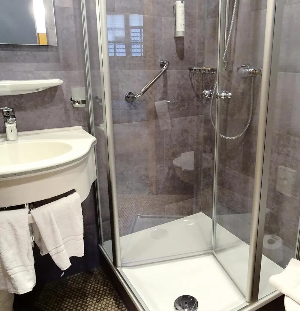 Shower in Hotel Eberbacher Hof