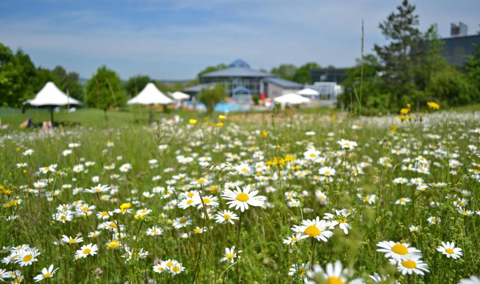 Spring in Kurhotel Bad Rodach an der ThermeNatur