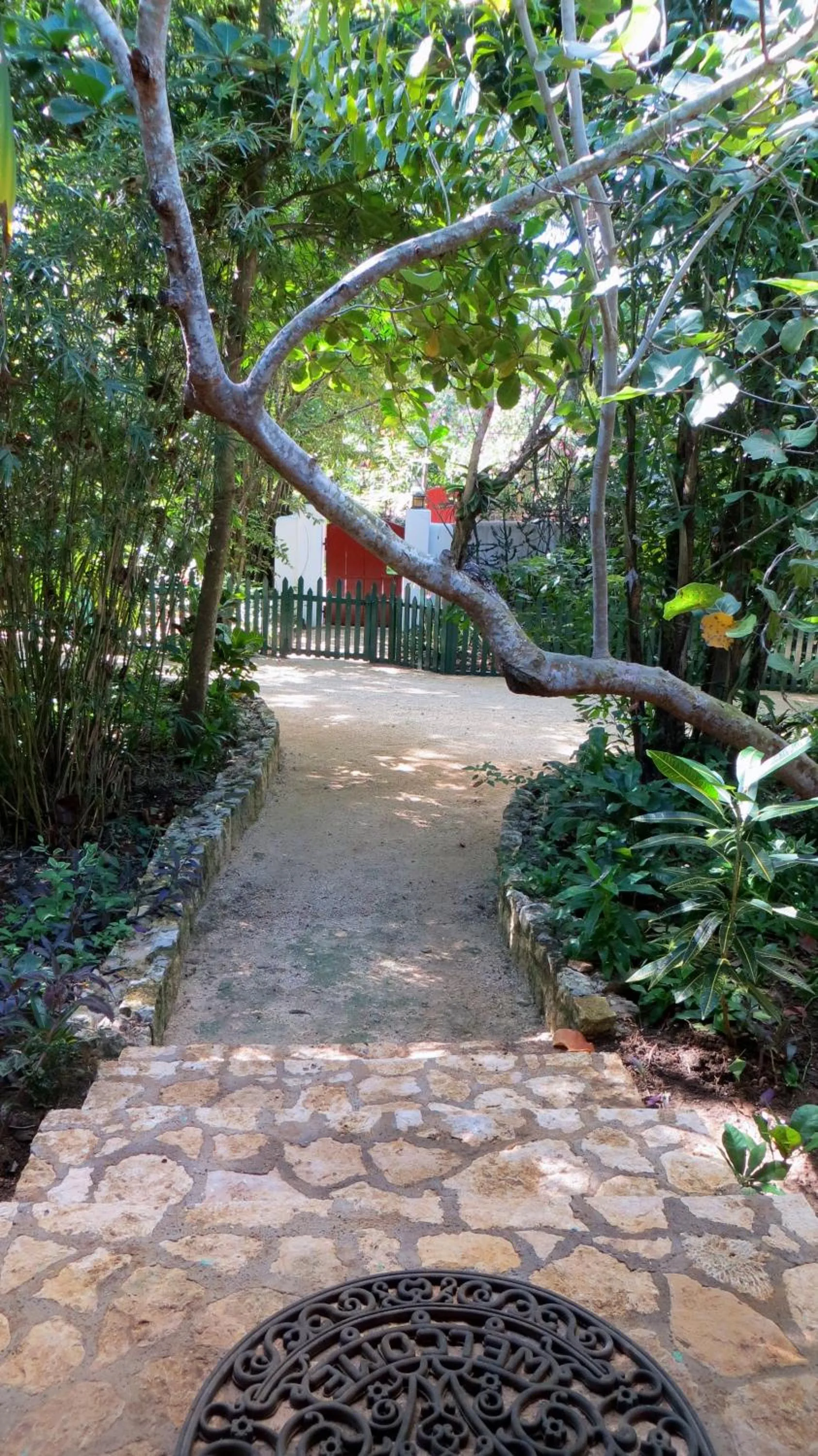 Garden in Tingalaya's Retreat