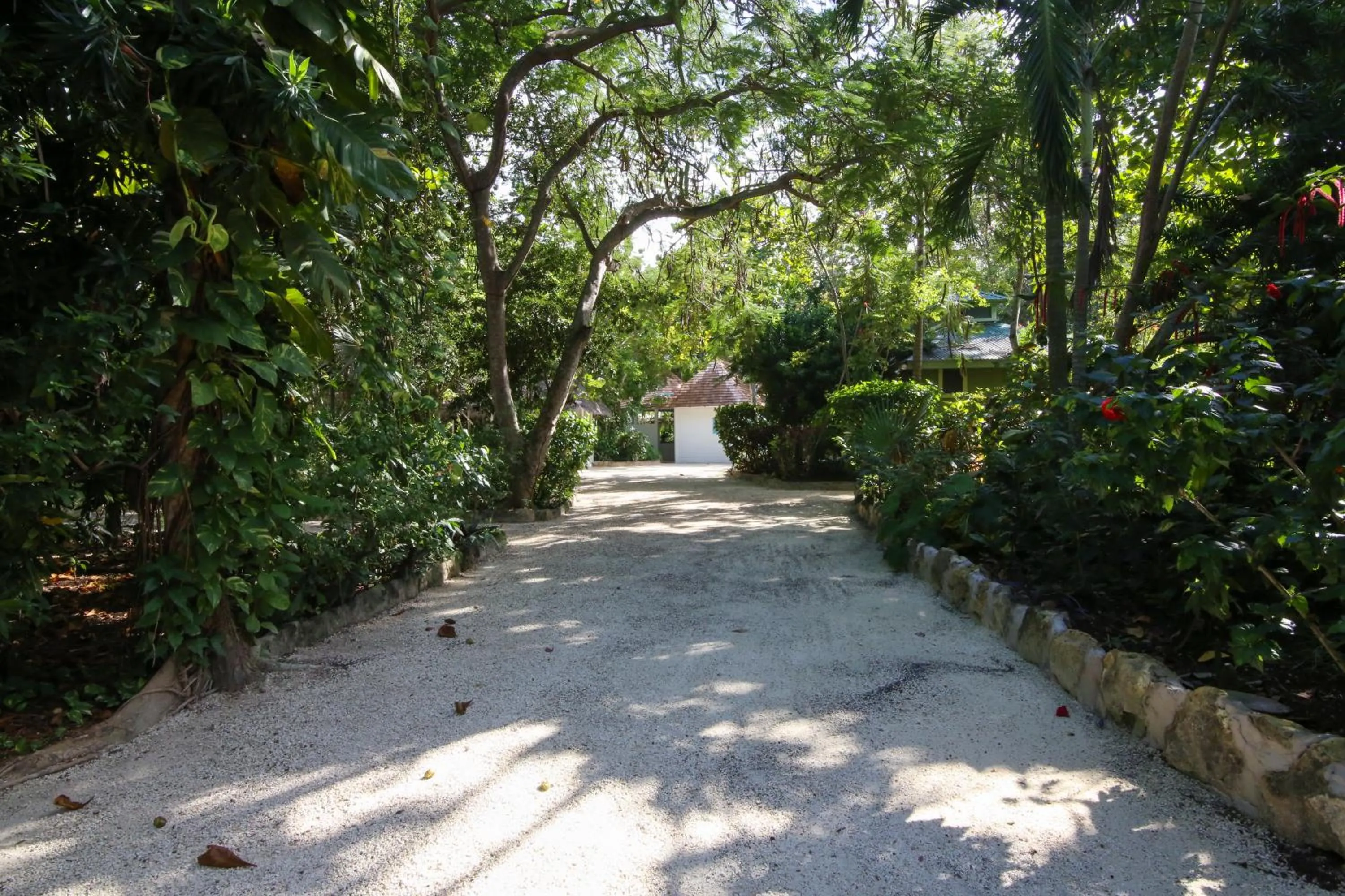 Natural landscape in Tingalaya's Retreat