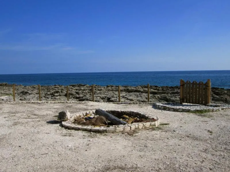 Other in Tingalaya's Retreat