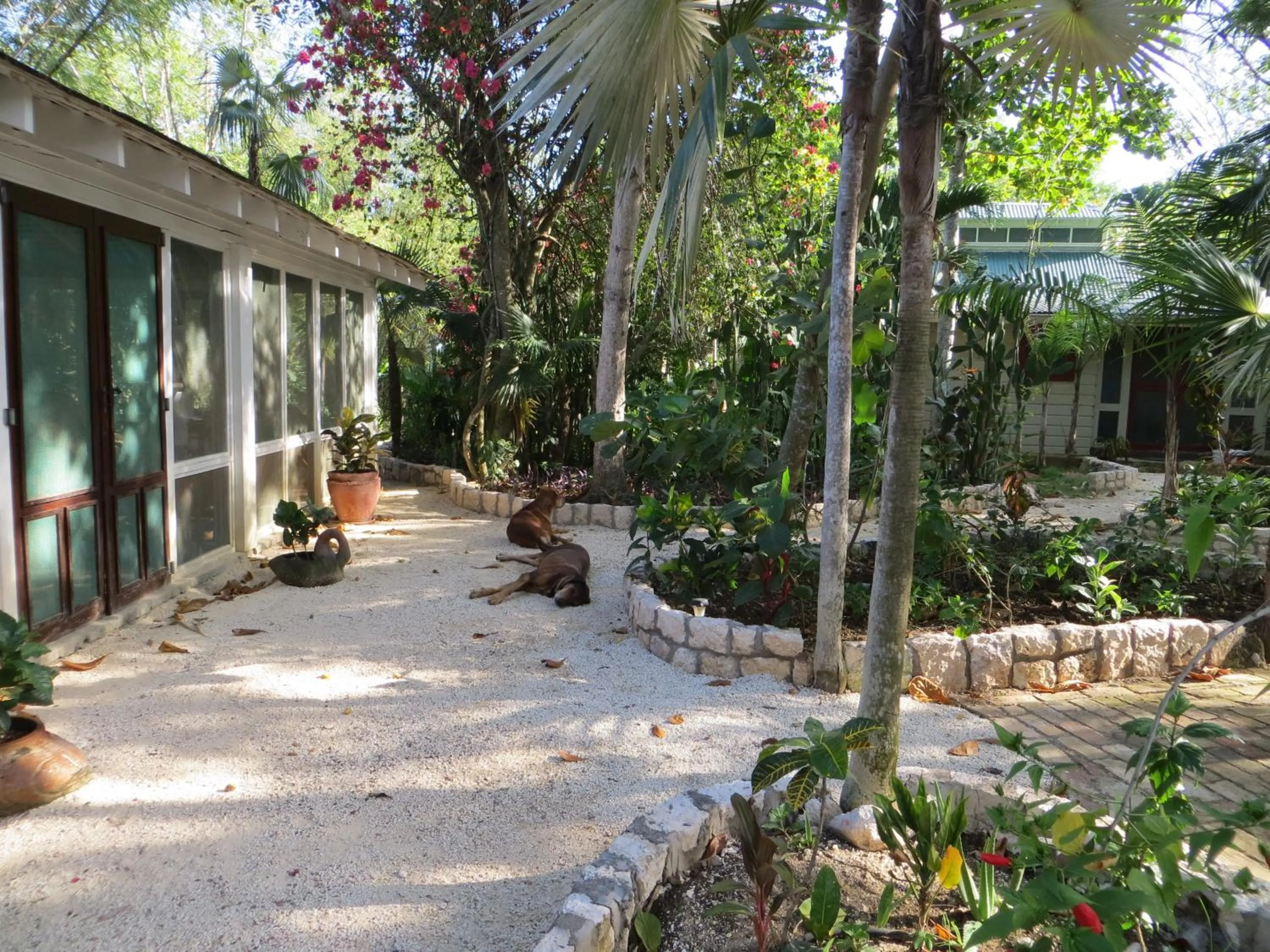 Area and facilities in Tingalaya's Retreat