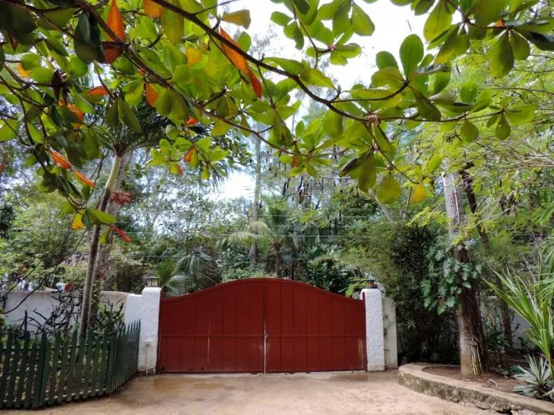 Other in Tingalaya's Retreat