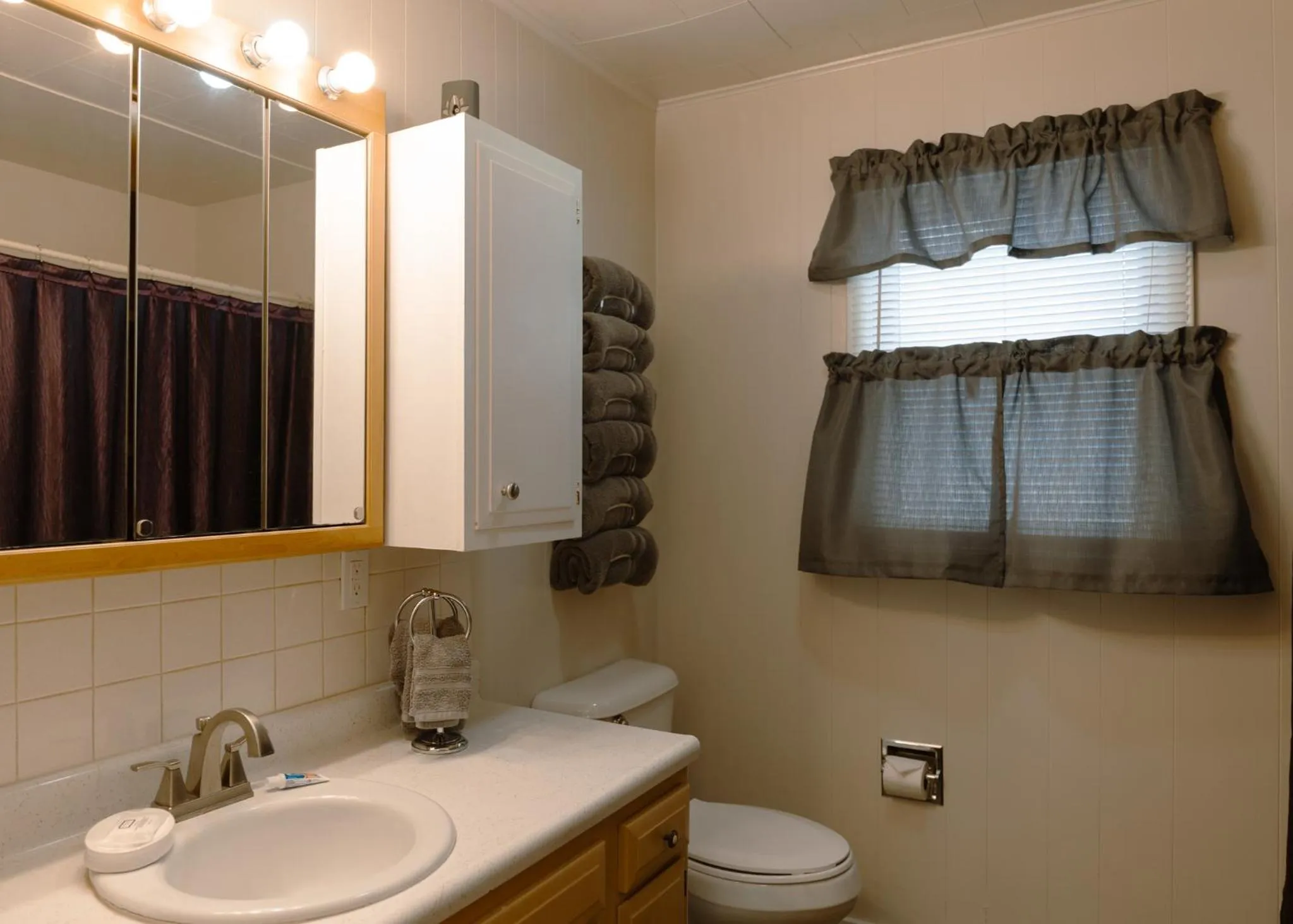 Toilet in East Side Motel & Cabins