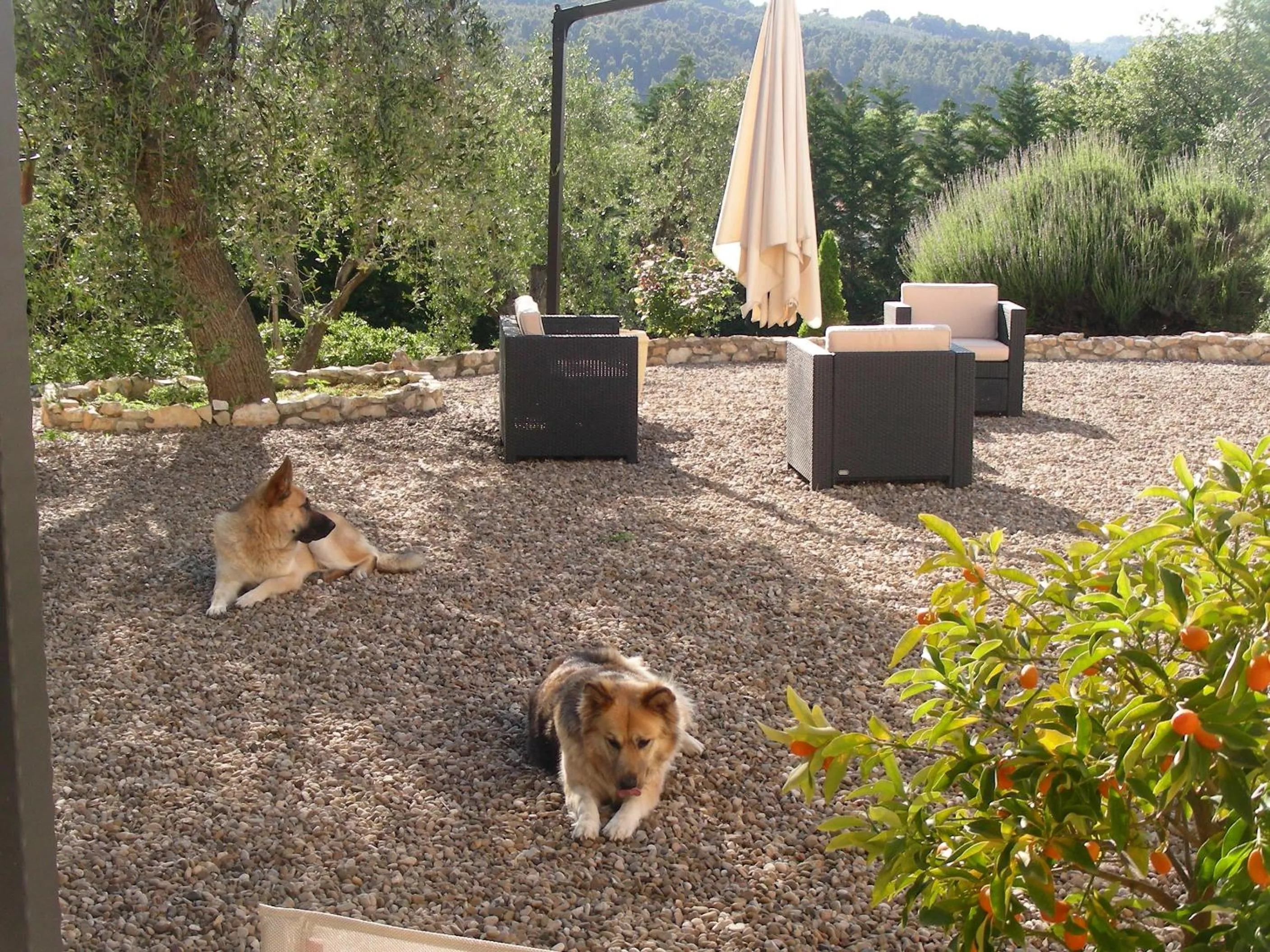 Garden in Poggio di Luna Adults Only