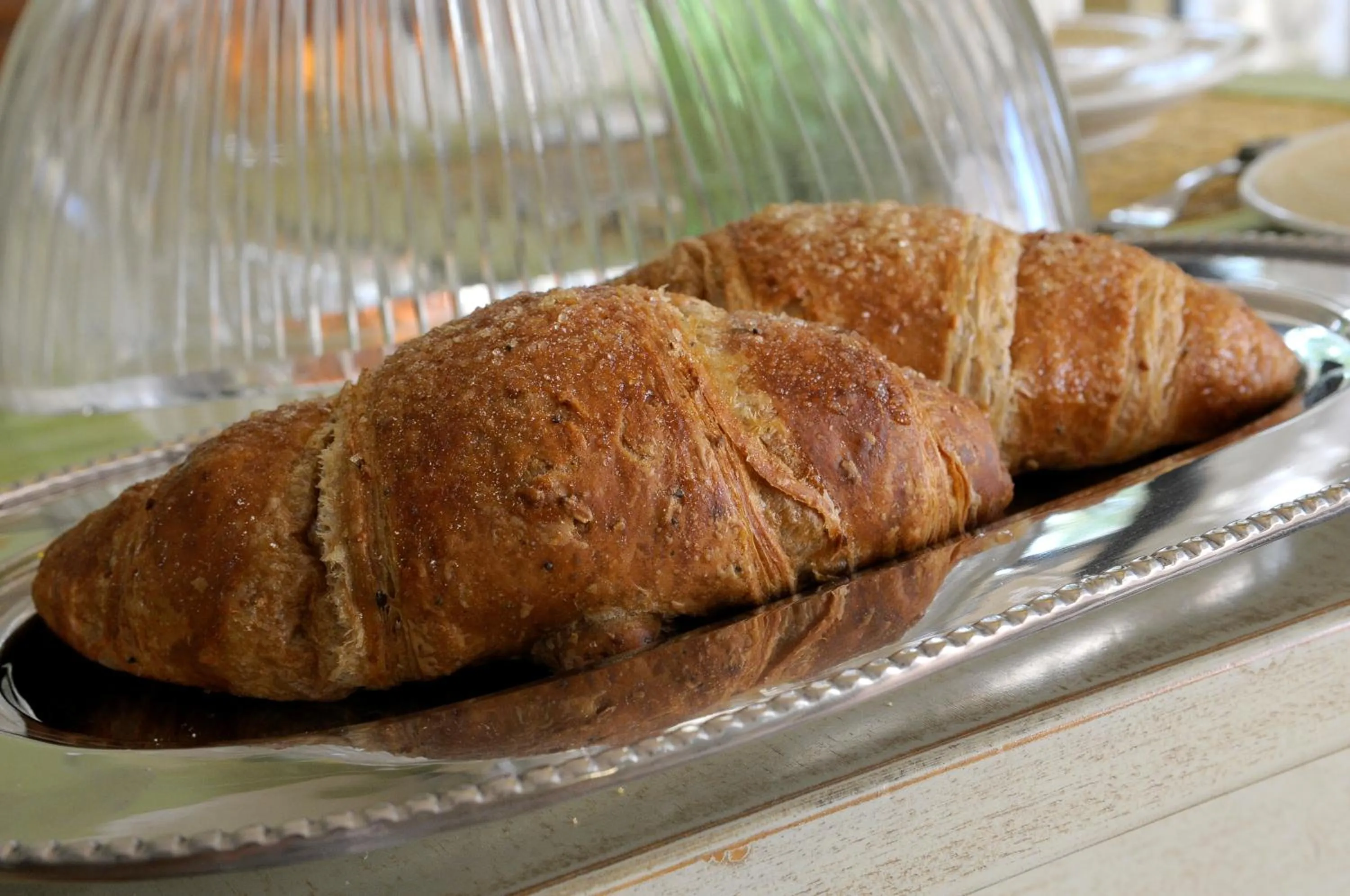 Food close-up in Poggio di Luna Adults Only