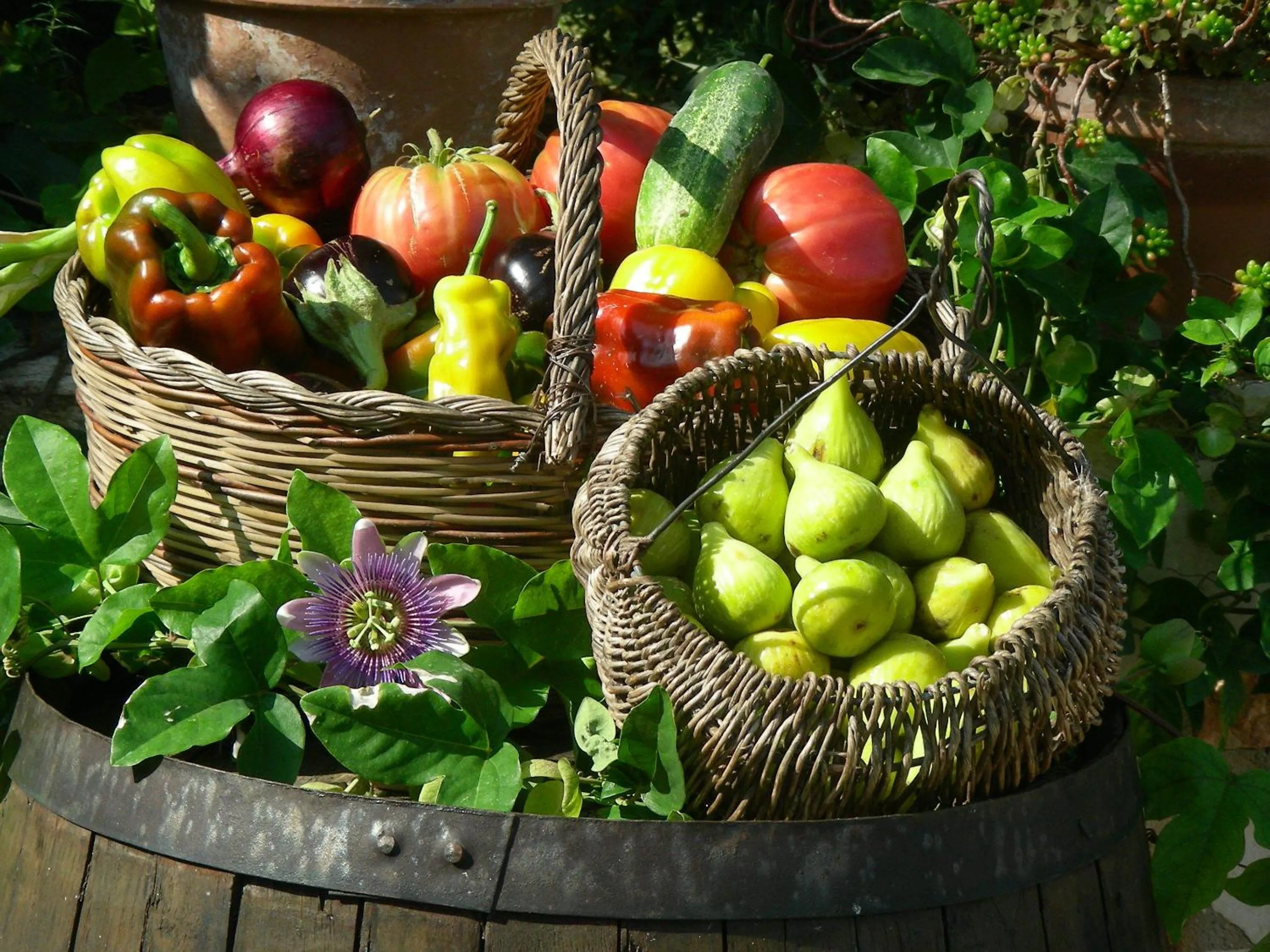 Food in Poggio di Luna Adults Only