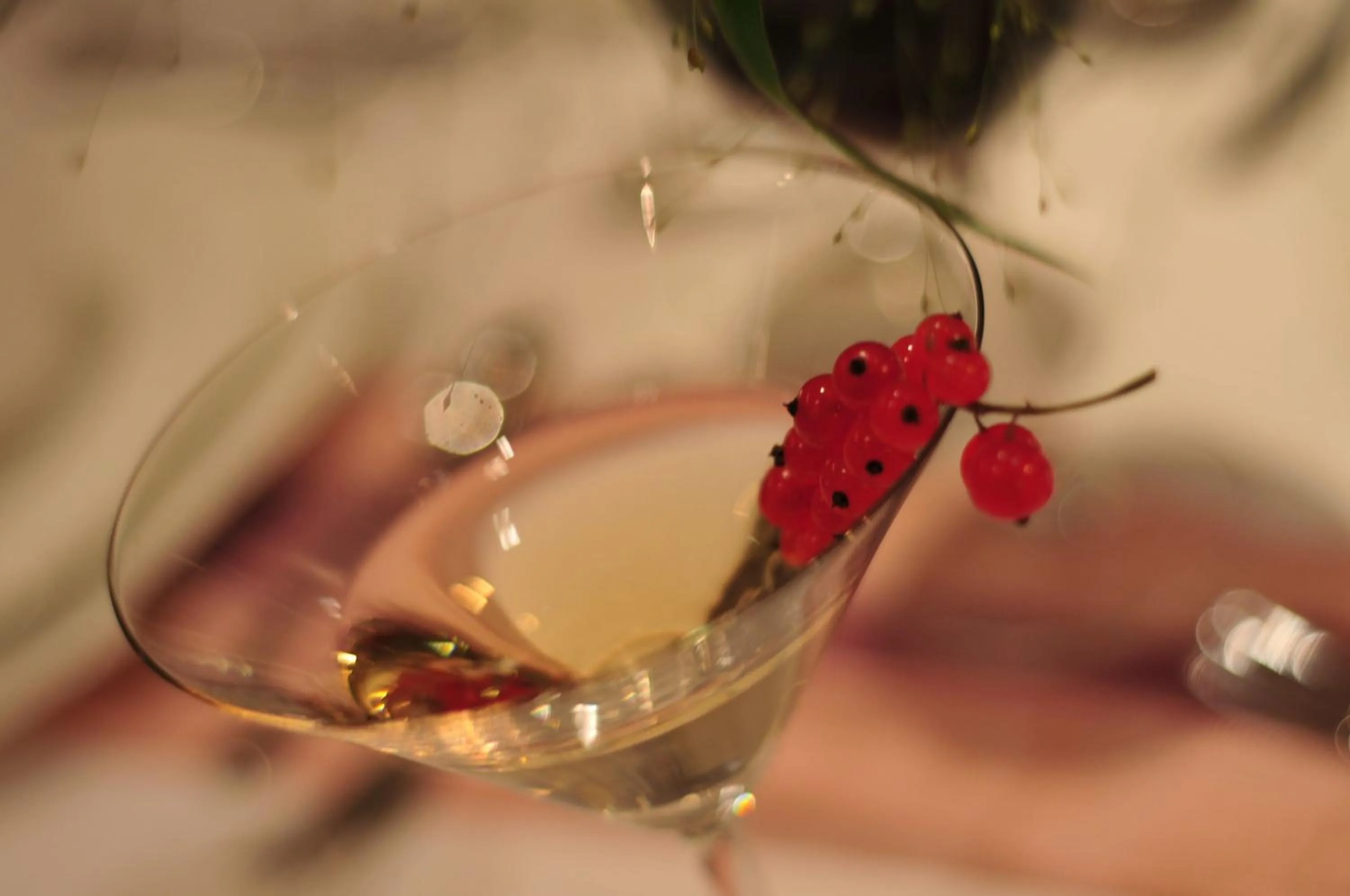 Restaurant/places to eat in Hotel Tannenhof