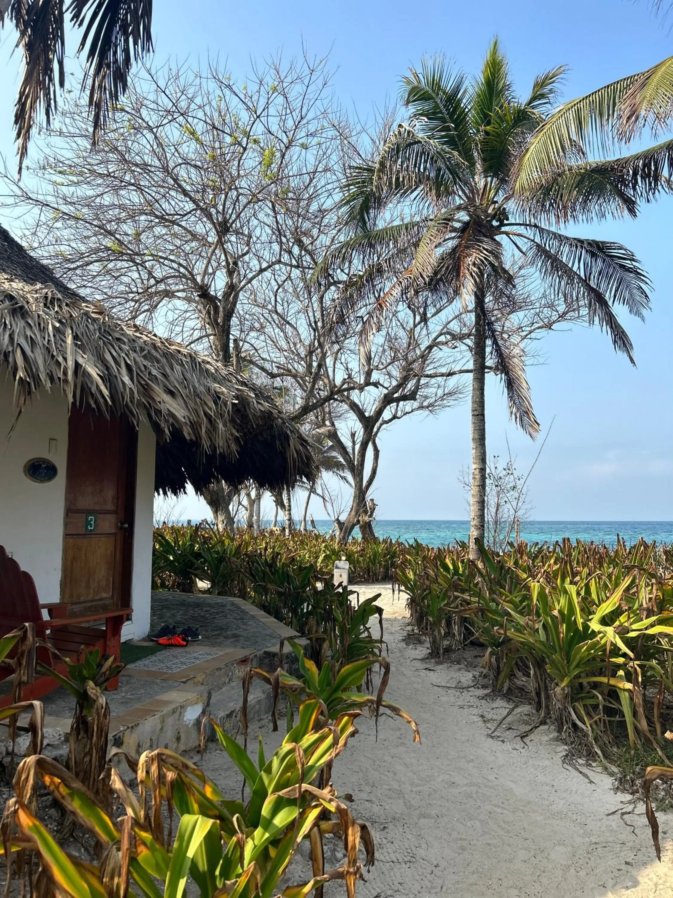 Natural landscape in Hotel Isla Del Pirata