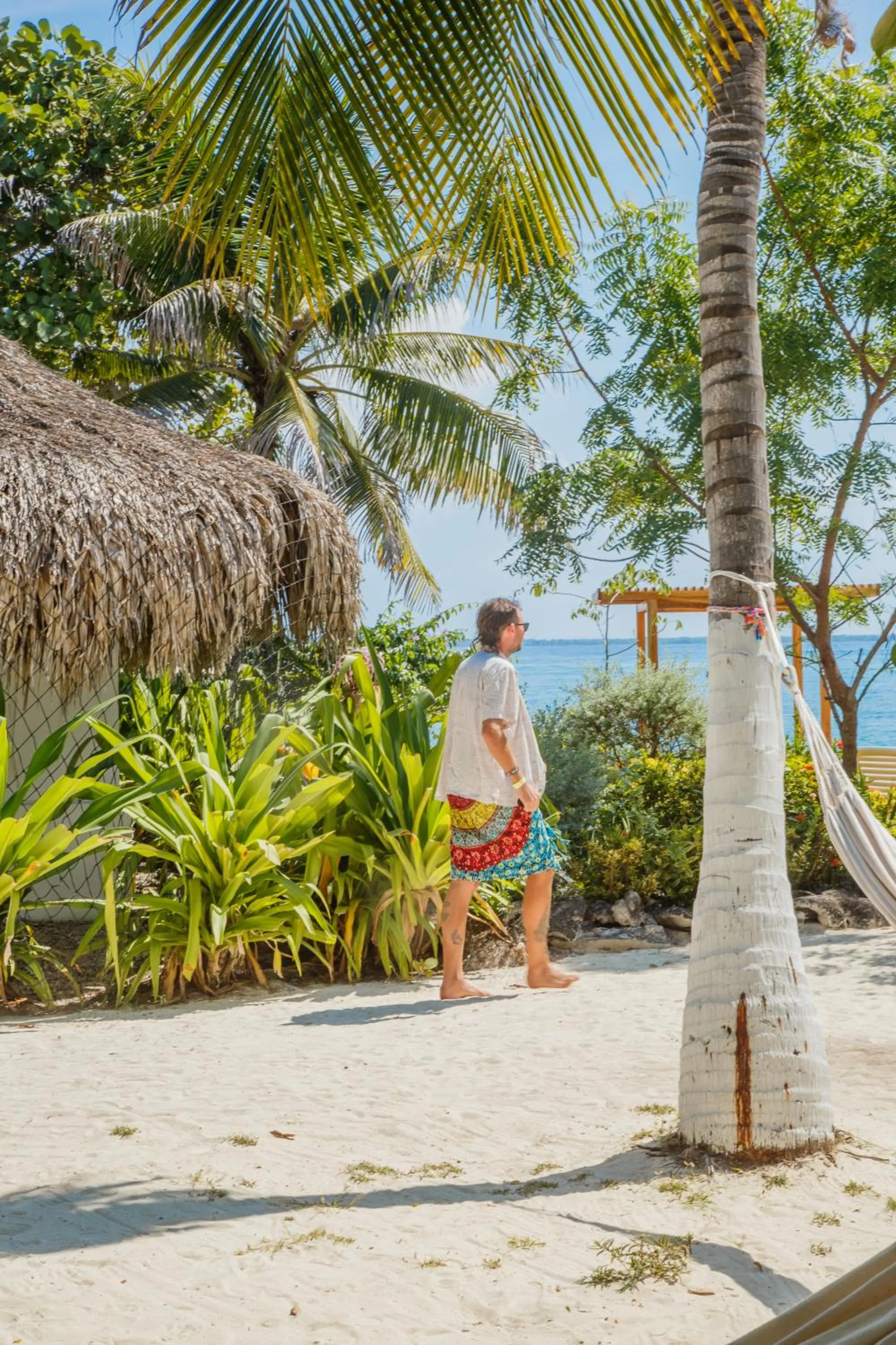 Garden view in Hotel Isla Del Pirata