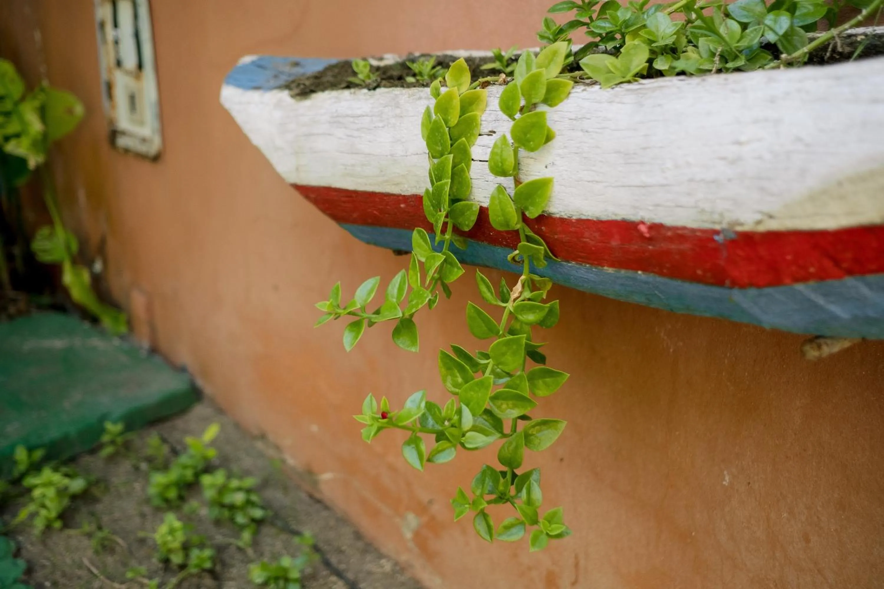 Day in Hotel Porto do Zimbo