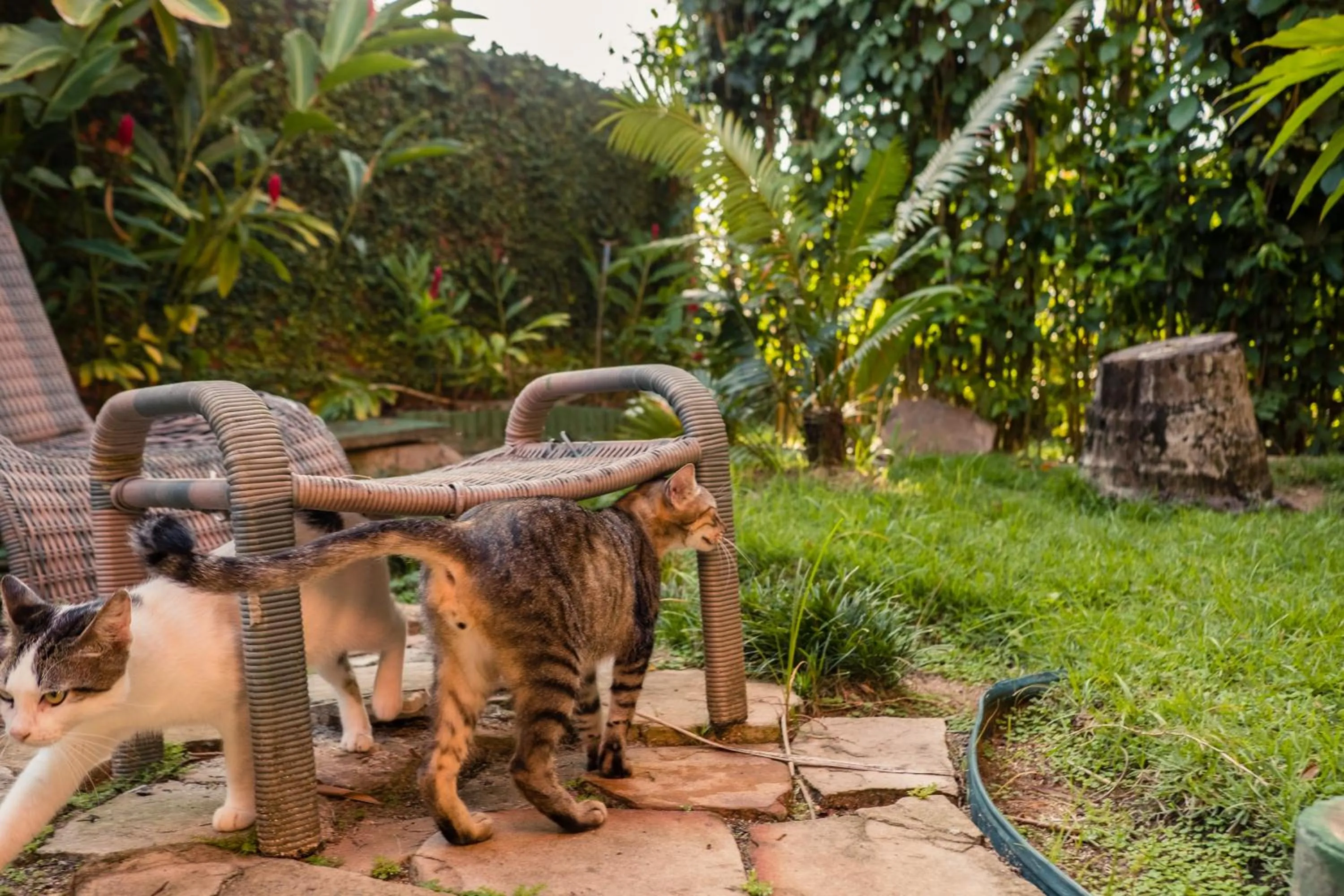 Day in Hotel Porto do Zimbo