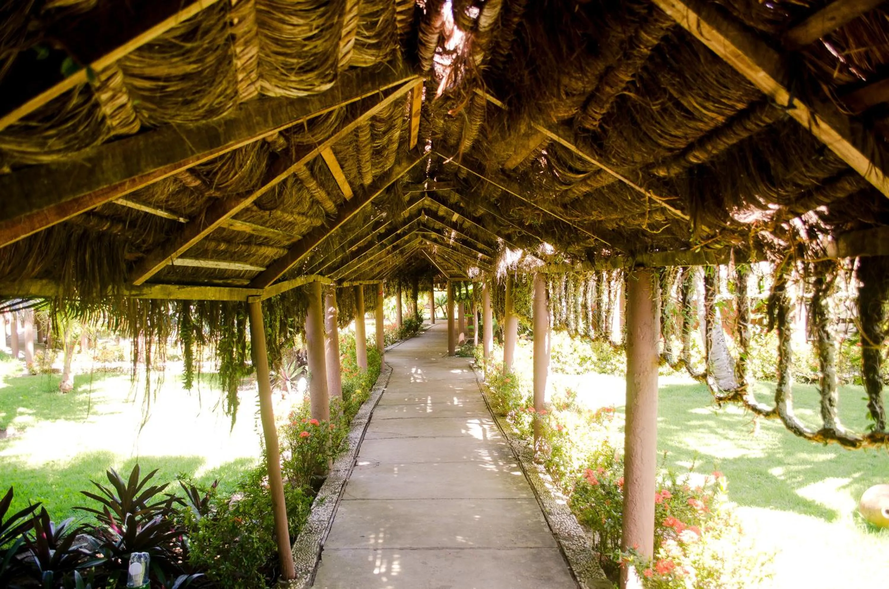 Natural landscape in Hotel Porto do Zimbo