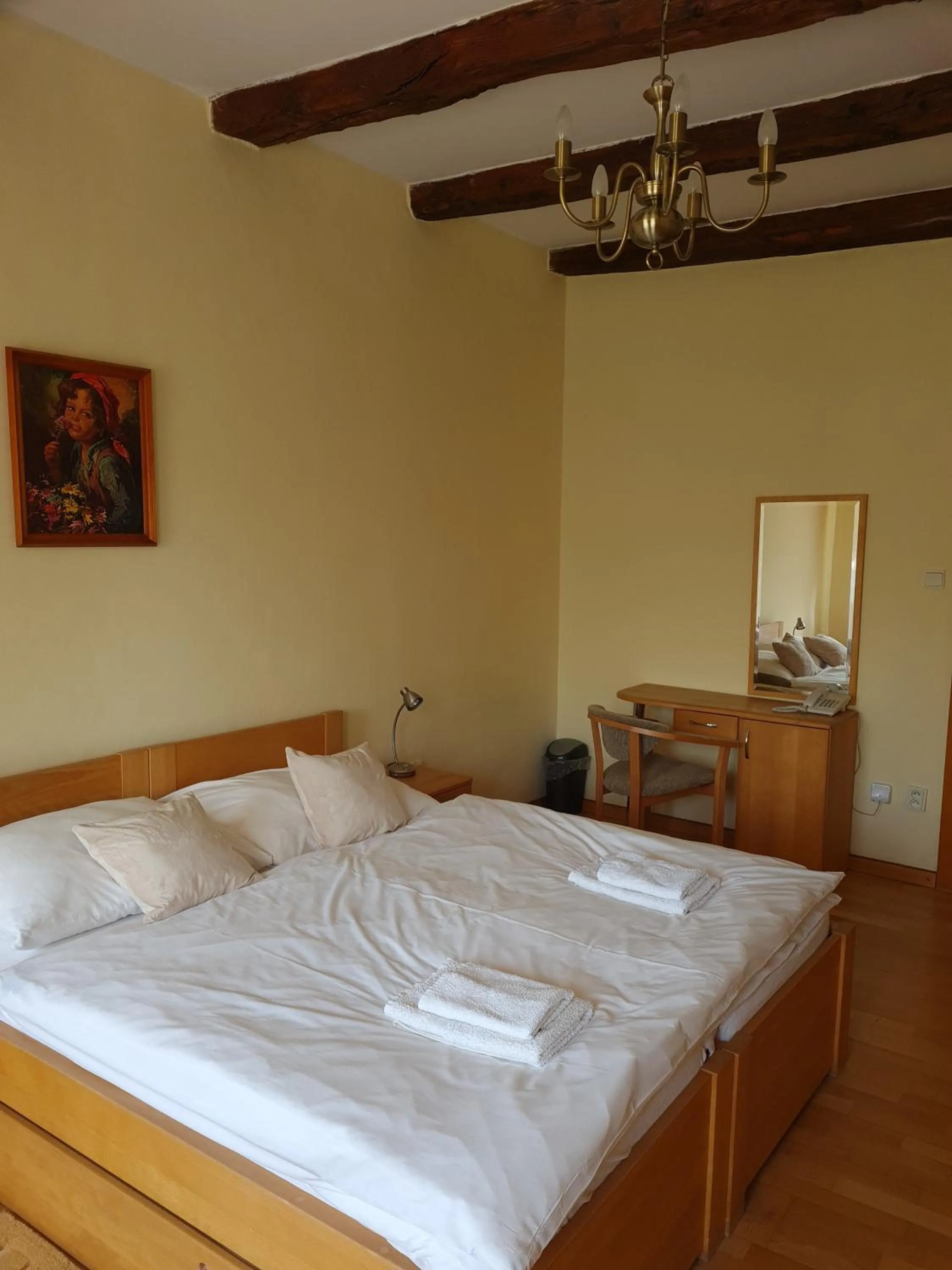 Andrišov dom penzion