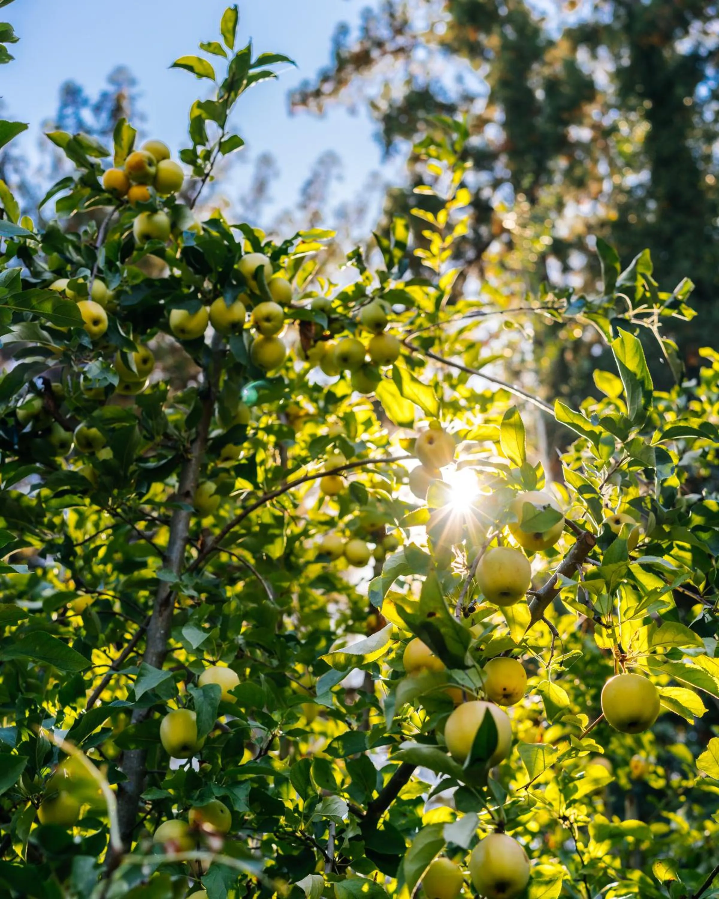 Natural landscape in The Stavrand