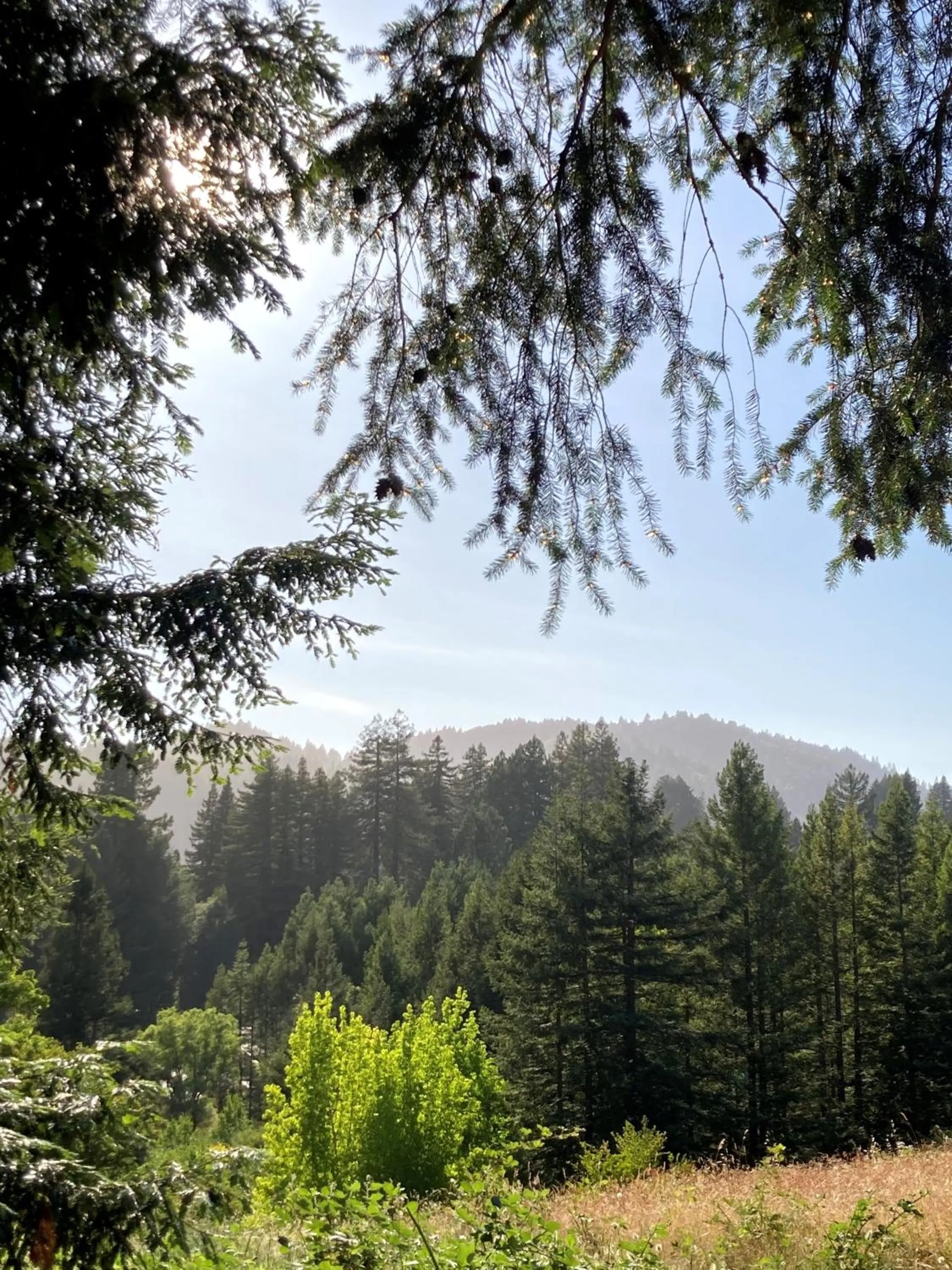 Natural landscape in The Stavrand