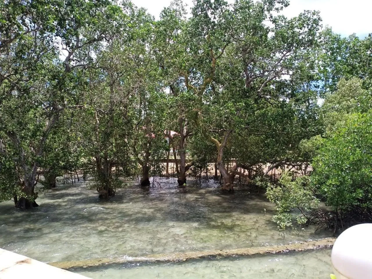 View (from property/room) in RedDoorz Plus @ Costa Roca Balamban