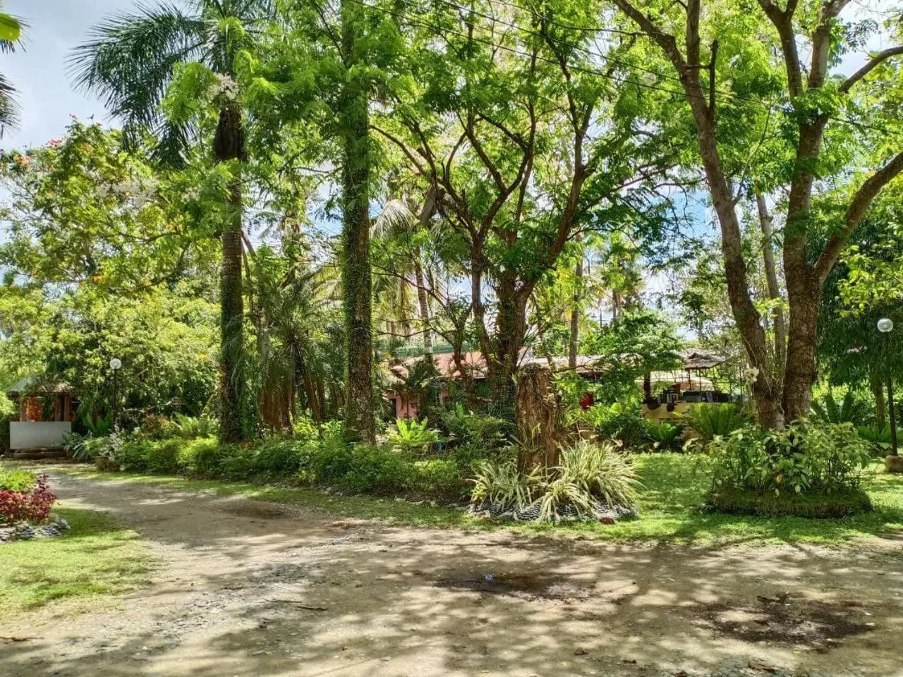 View (from property/room) in RedDoorz Plus @ Costa Roca Balamban