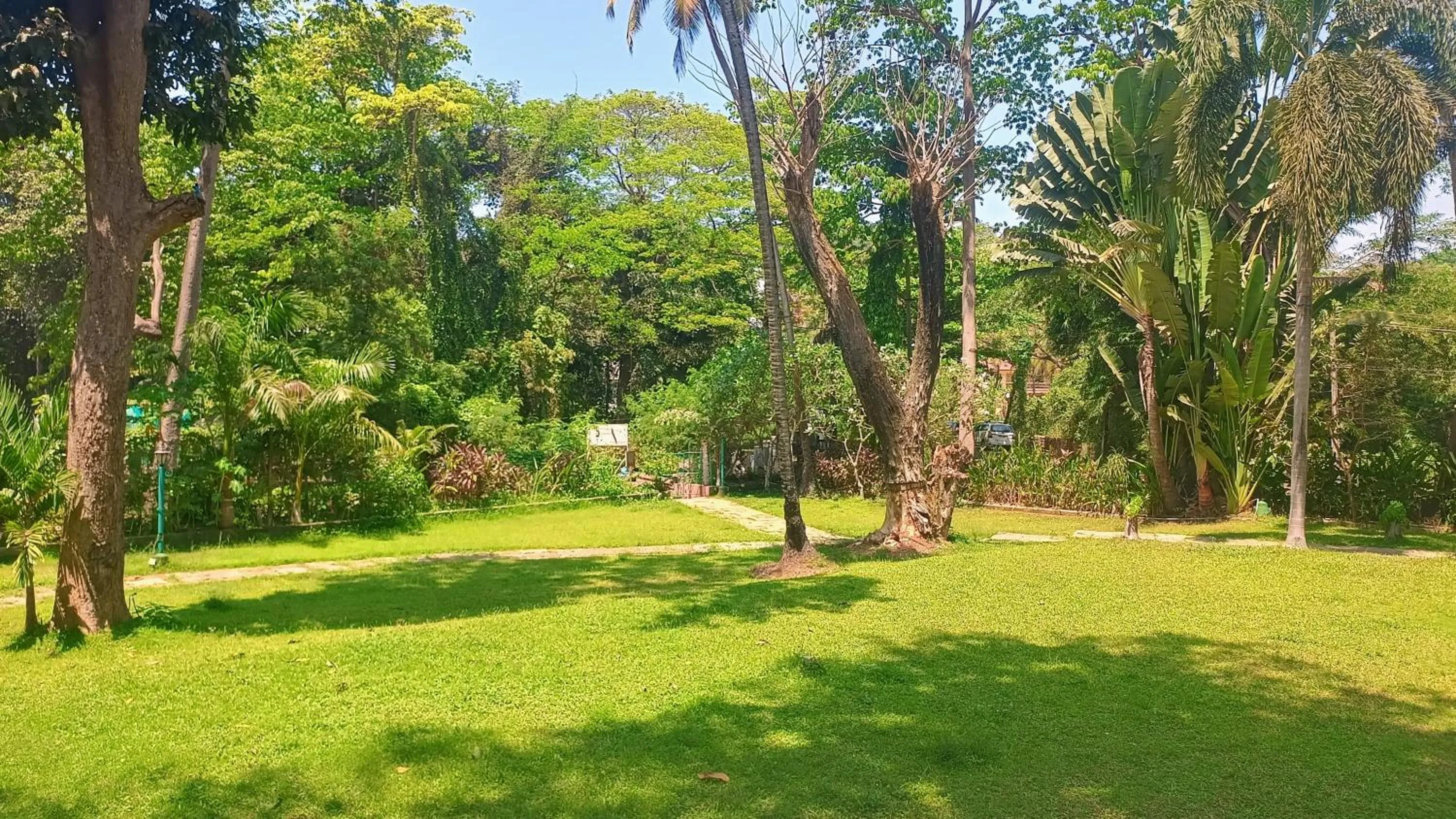 Garden in Golden Landmark Green Valley Beach Resort