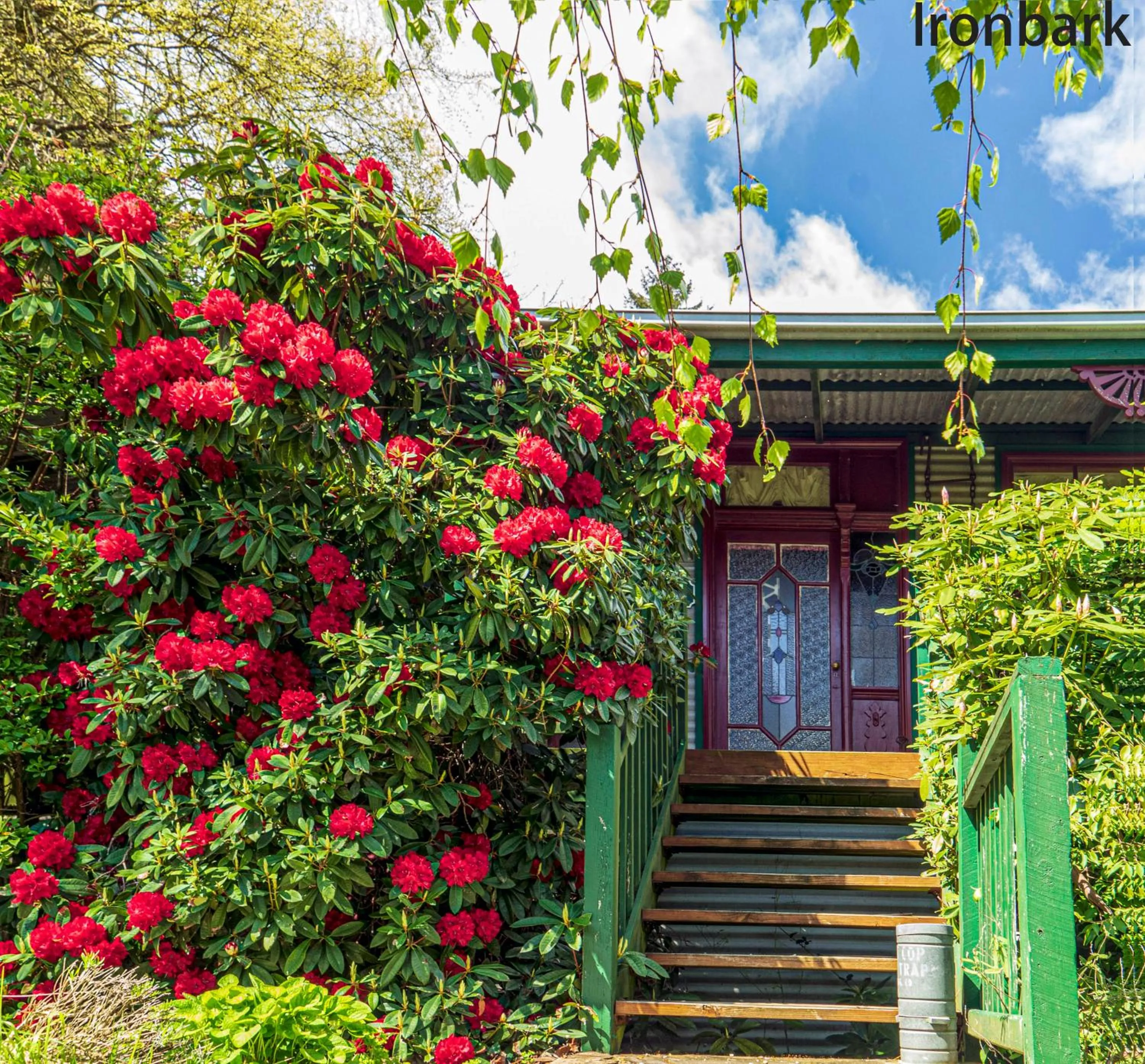 Observatory Cottages