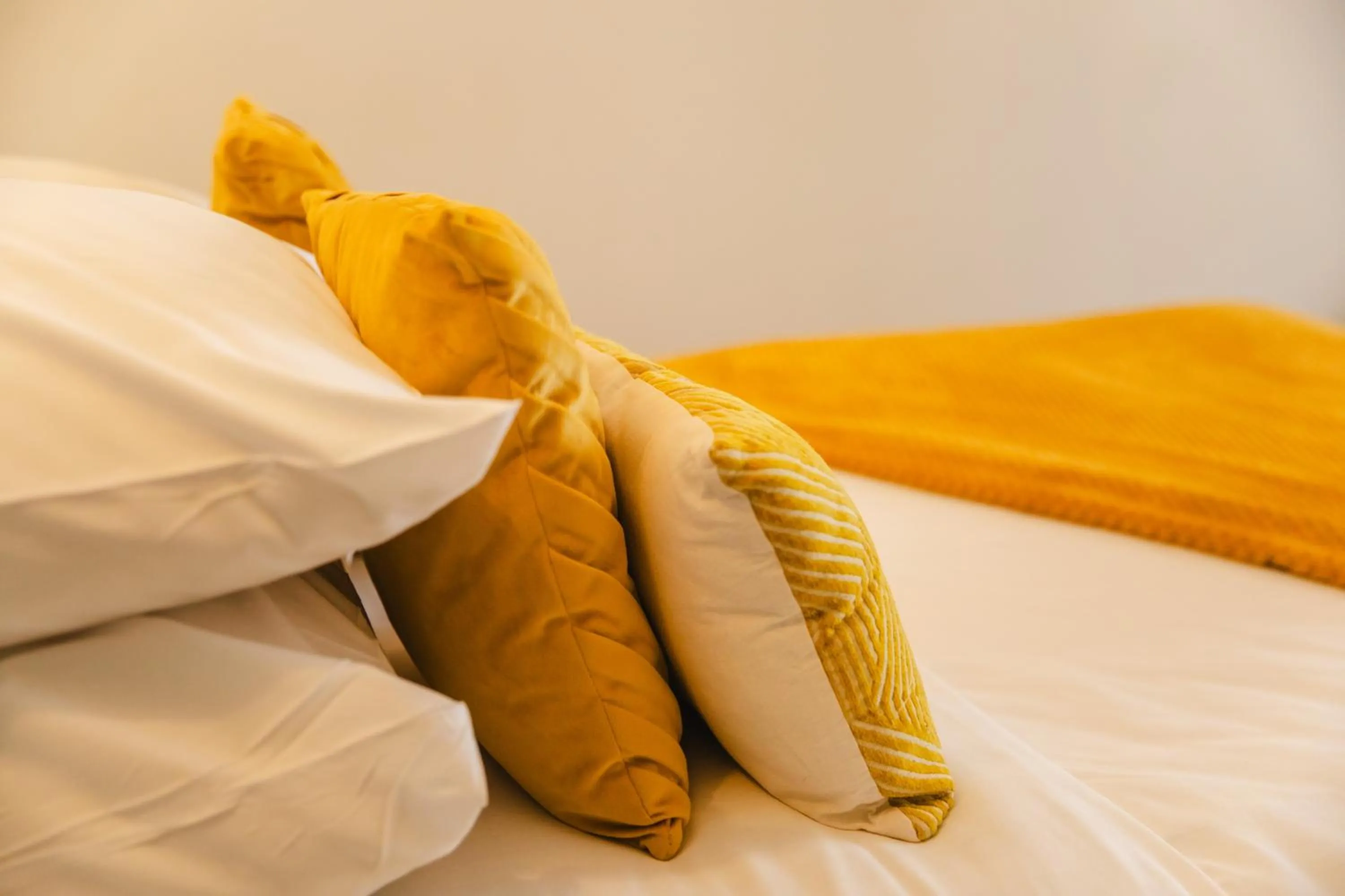 Bed in City Affaire, Petit déjeuner OFFERT en Hypercentre