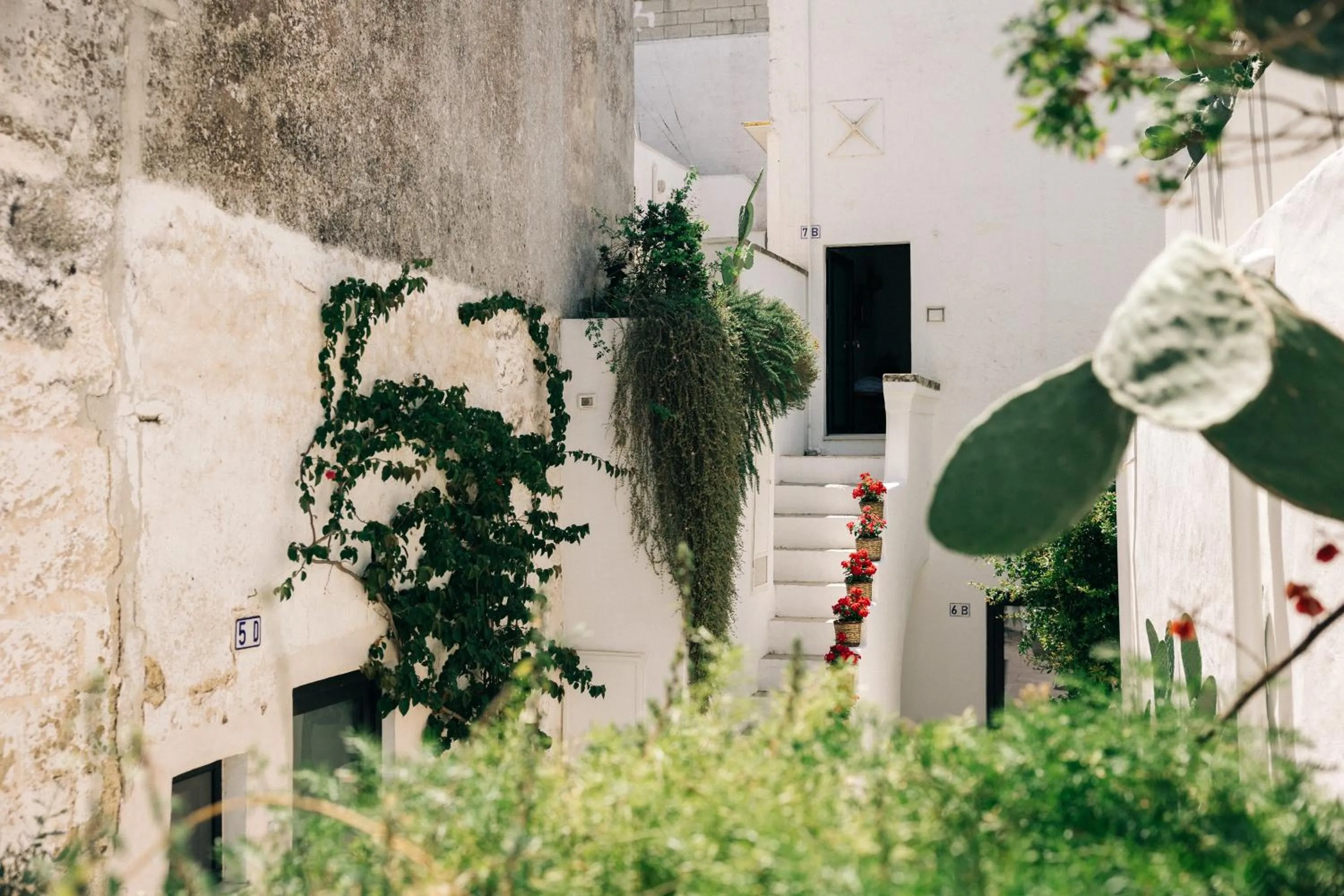 Patio in Corte Manfredi