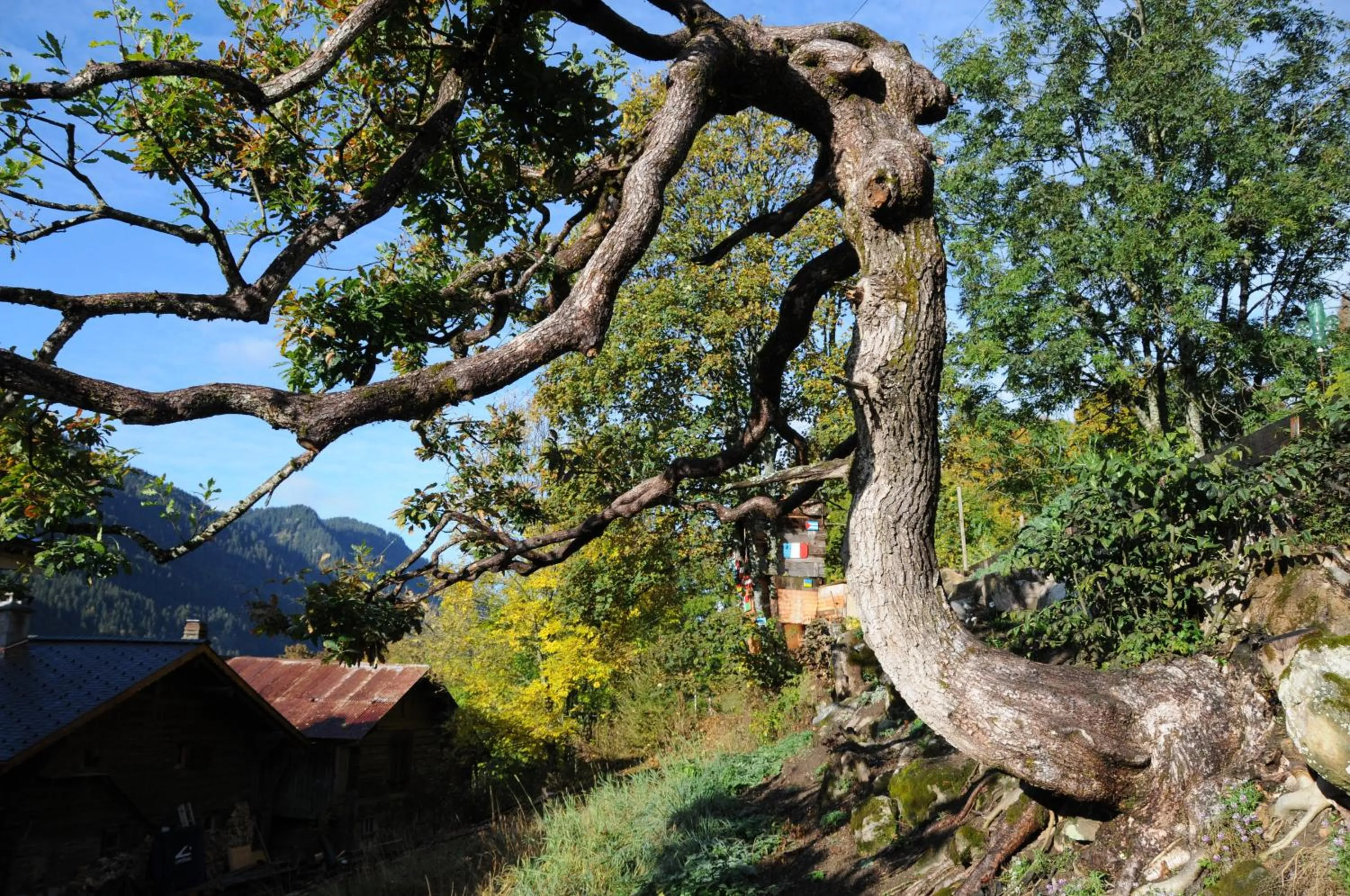 Garden in Historic Hotel du Pillon