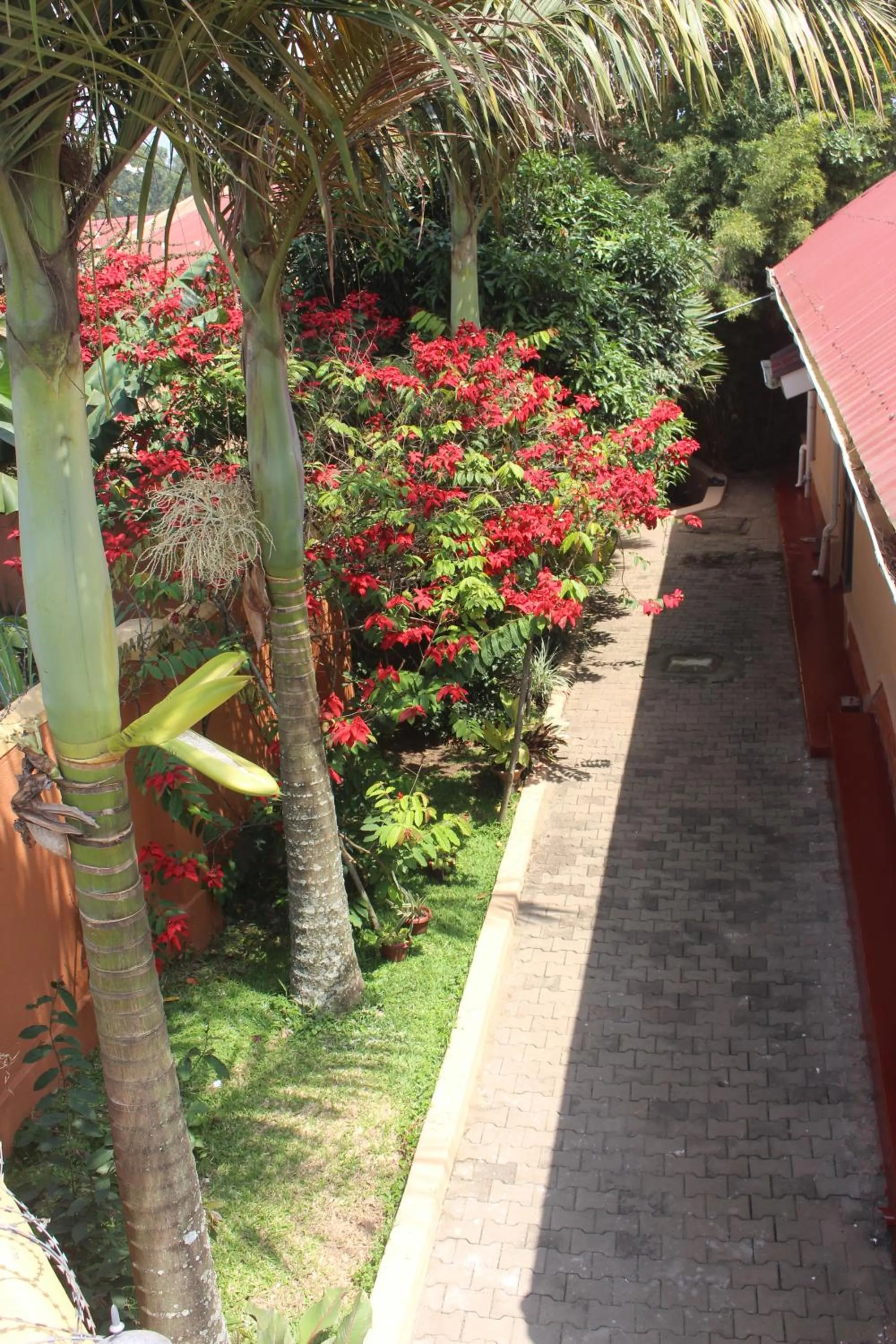Garden view in Montane Safaris Hotel