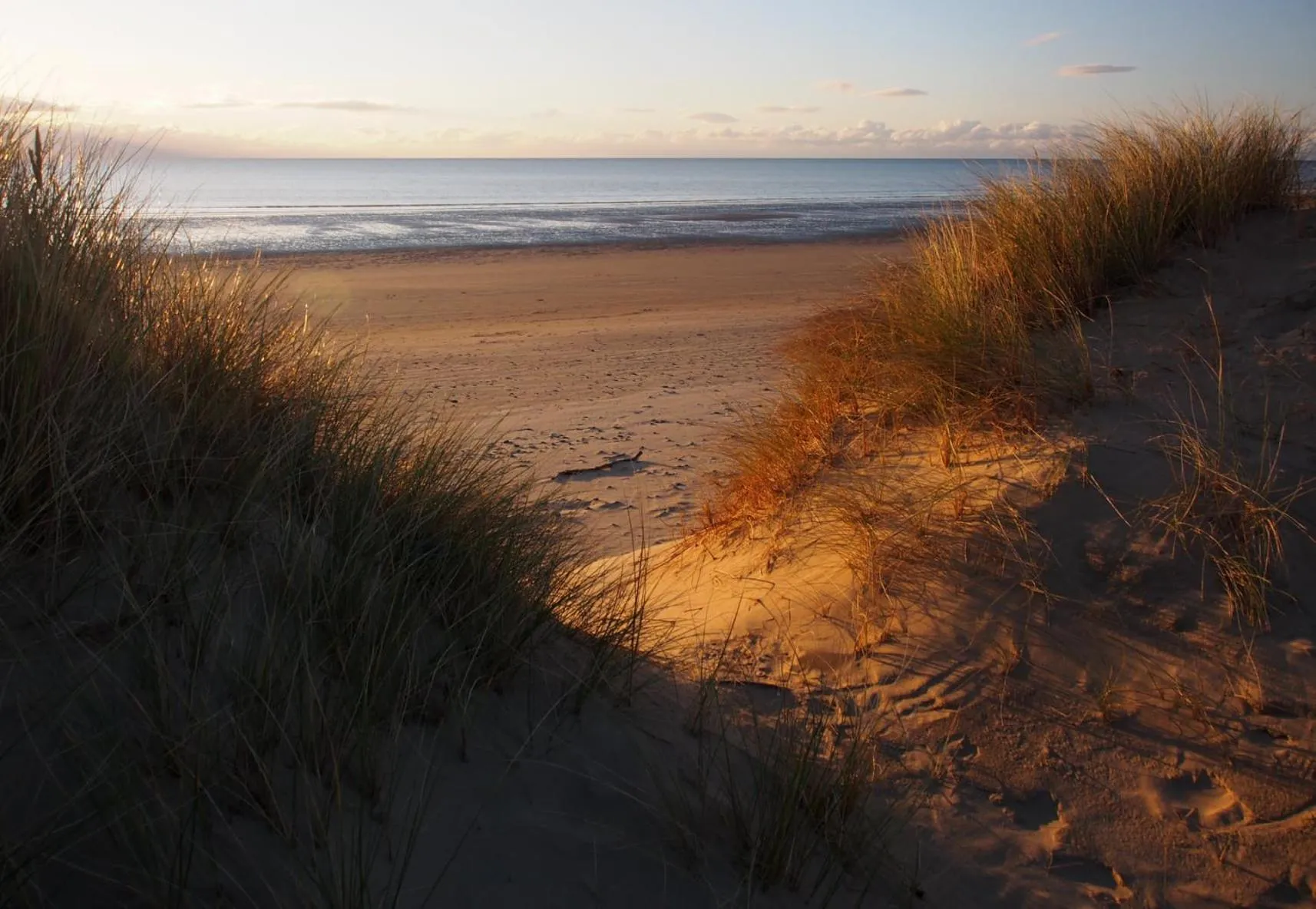 Beach in Tŷ Treflan