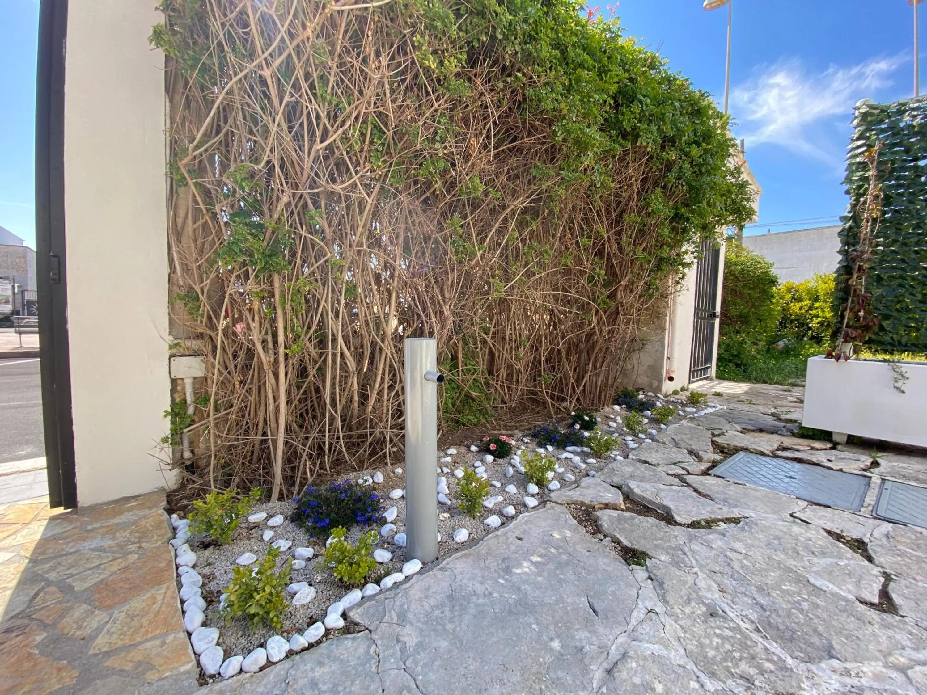 Patio in AFFITTACAMERE PIAZZA MAMELI