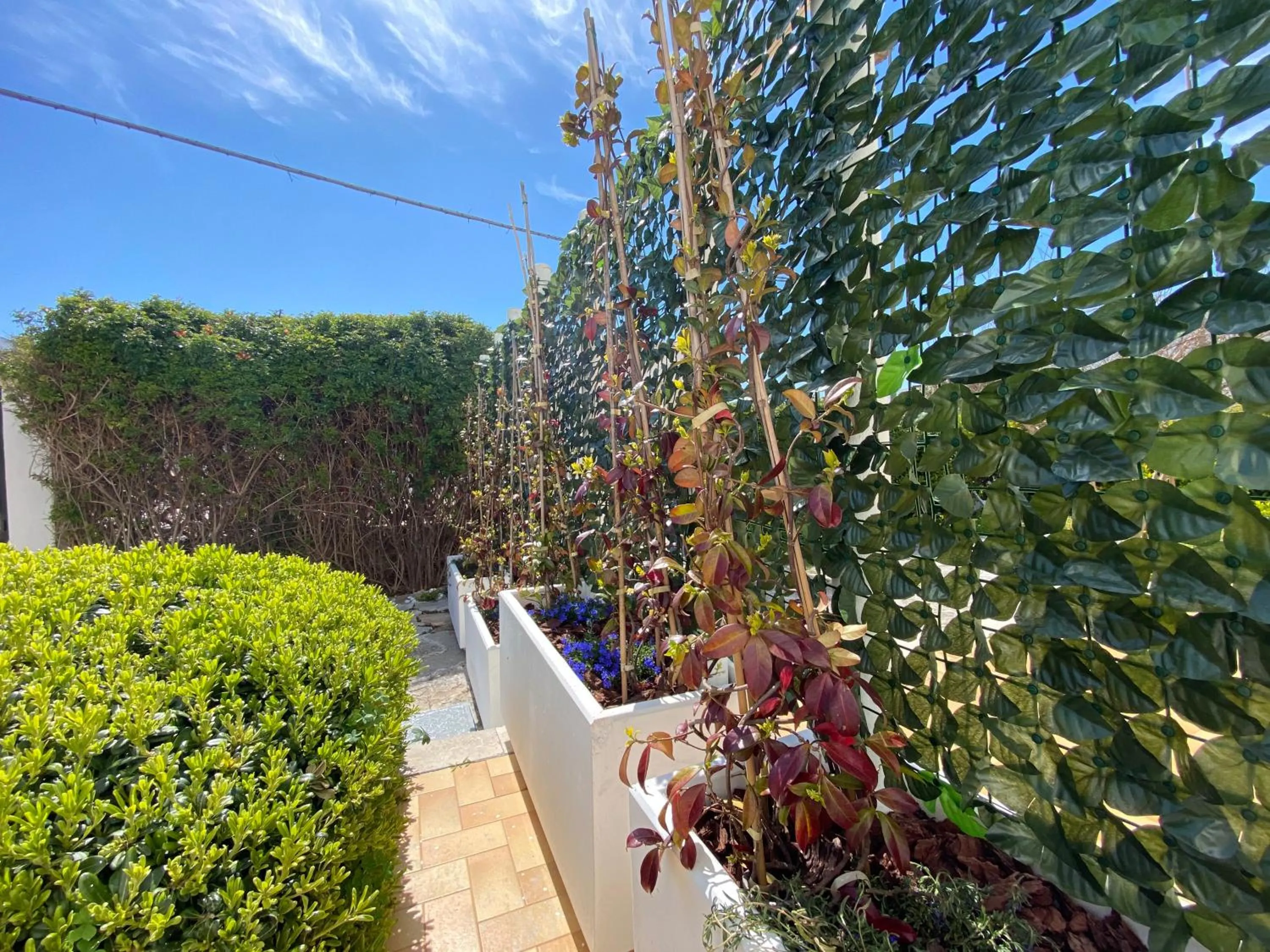 Garden in AFFITTACAMERE PIAZZA MAMELI