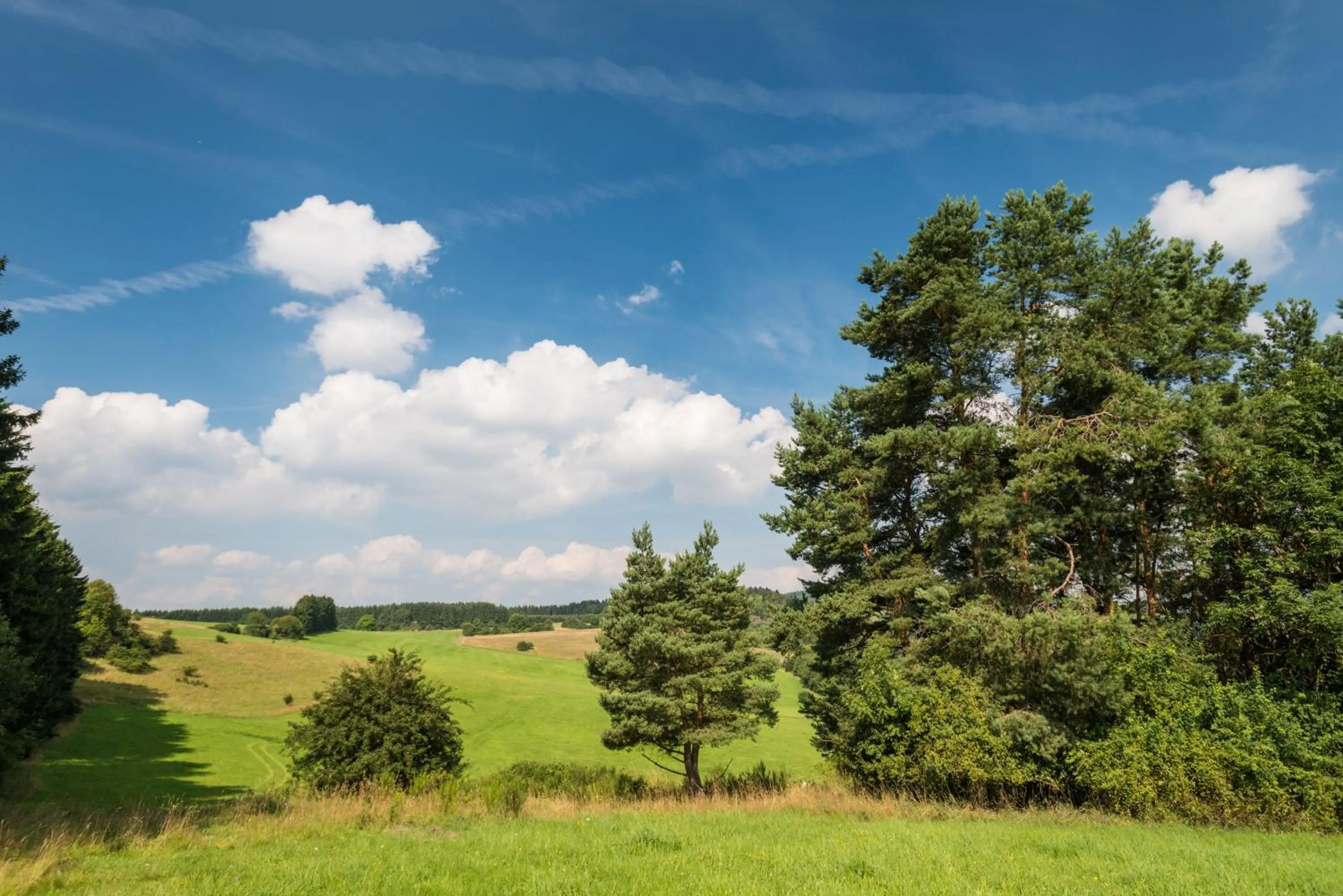 Area and facilities in Brauers Landarthotel GmbH