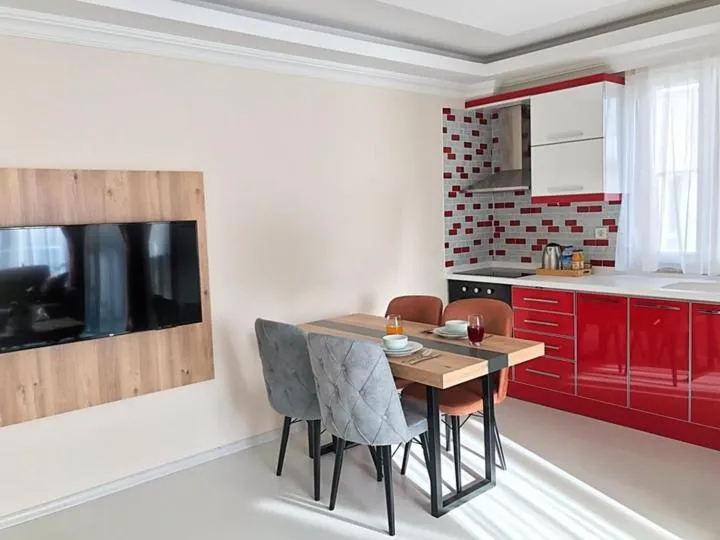 Kitchen or kitchenette in Alfa Apart Hotel