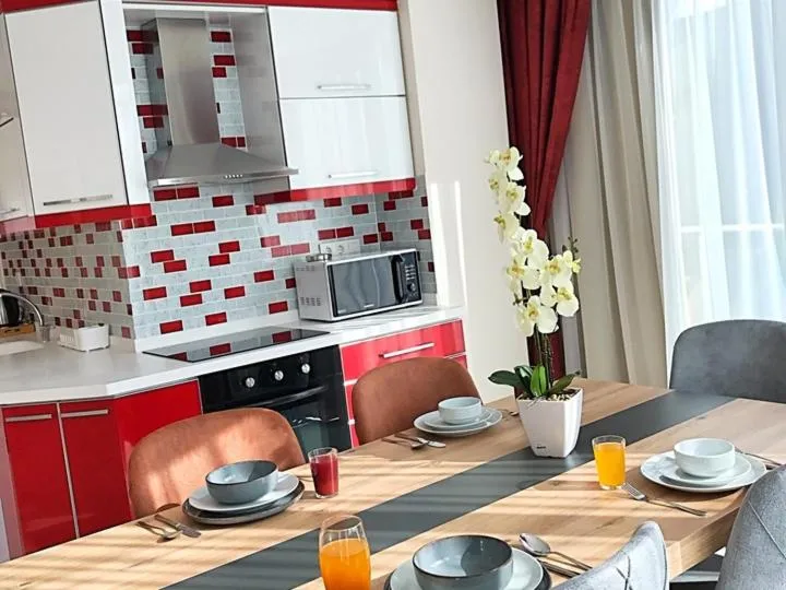 Kitchen or kitchenette in Alfa Apart Hotel