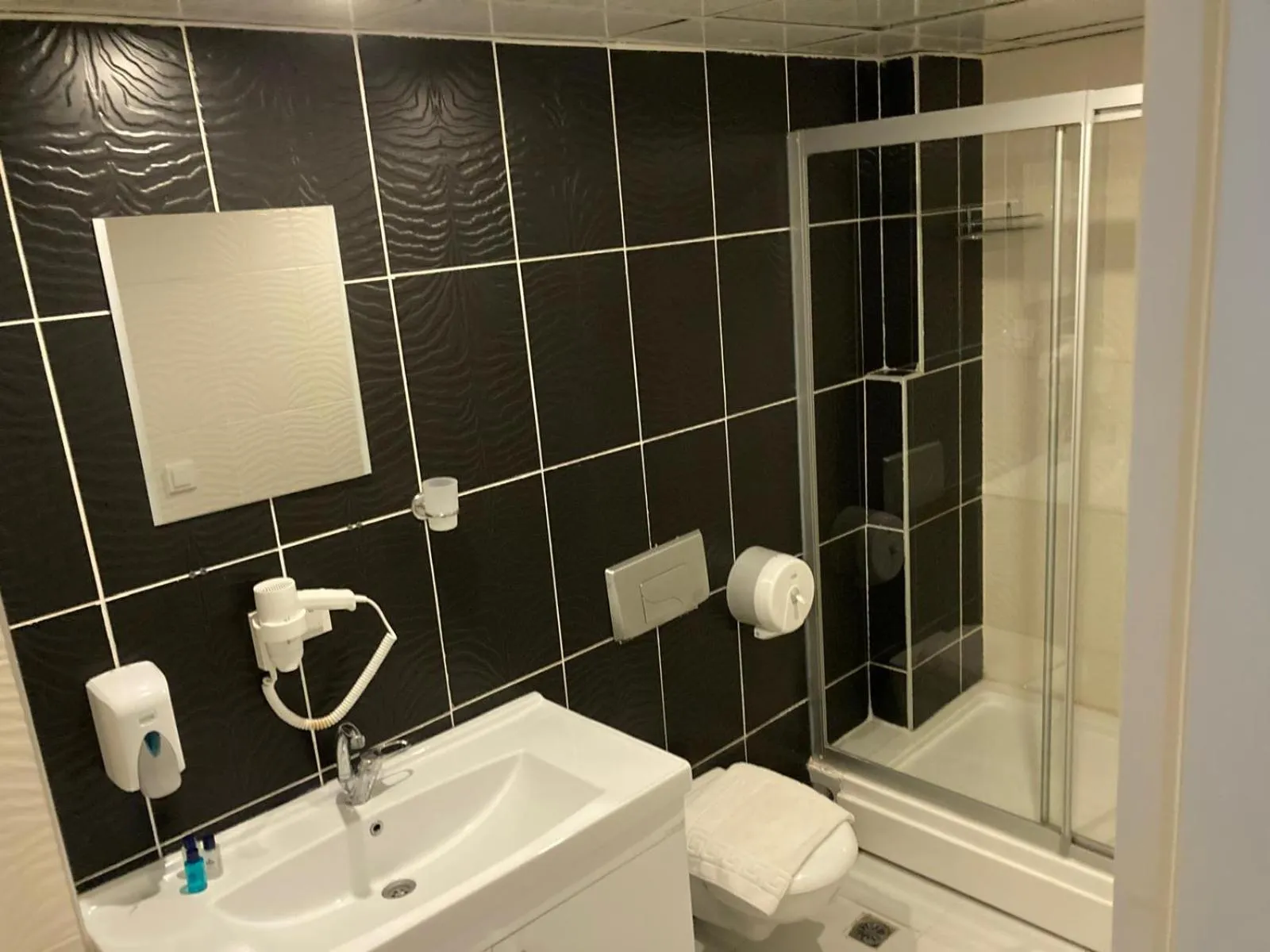 Shower in Alfa Apart Hotel