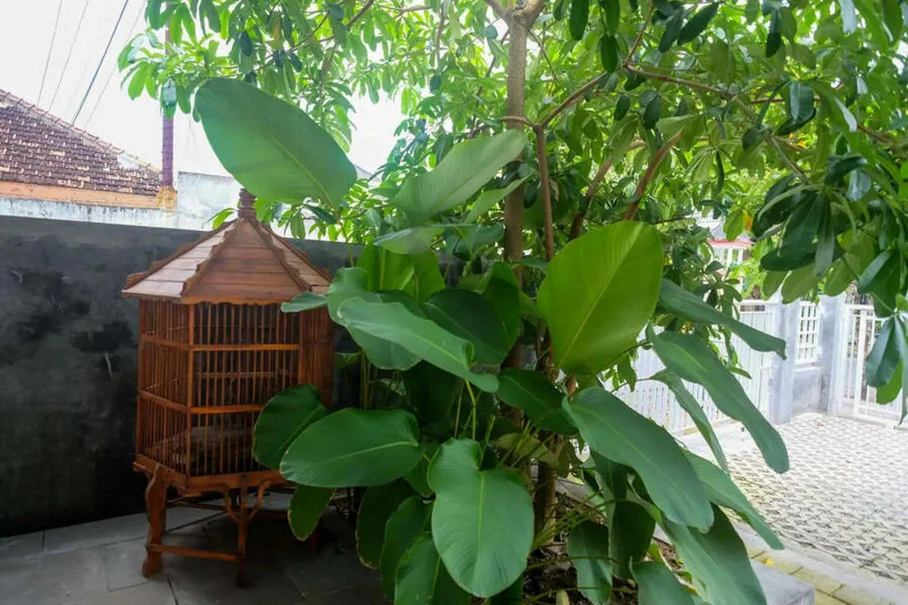 Garden in Reddoorz near Stadion Kridosono Blora