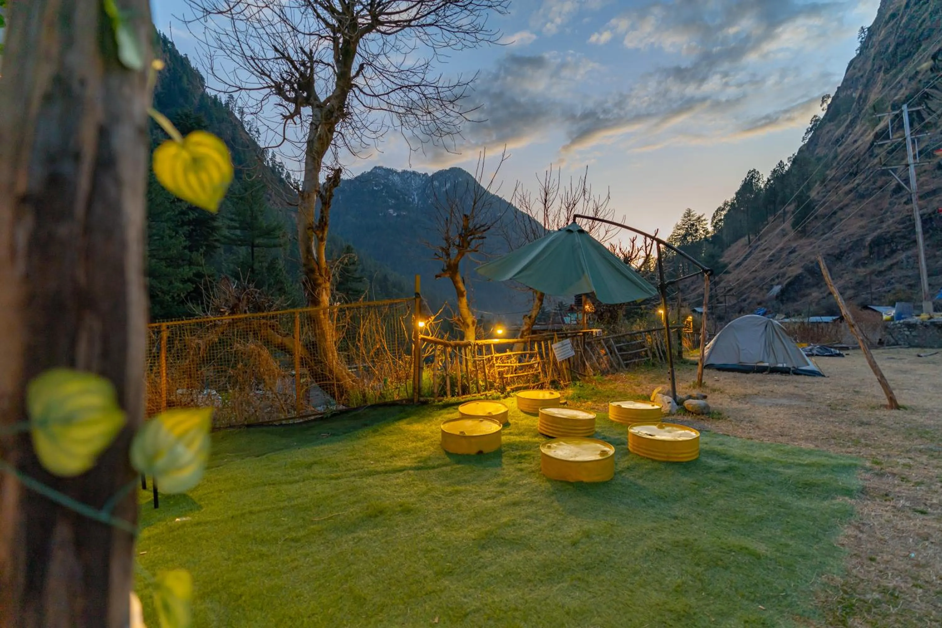 Garden in Jungle Hostel by Whoopers