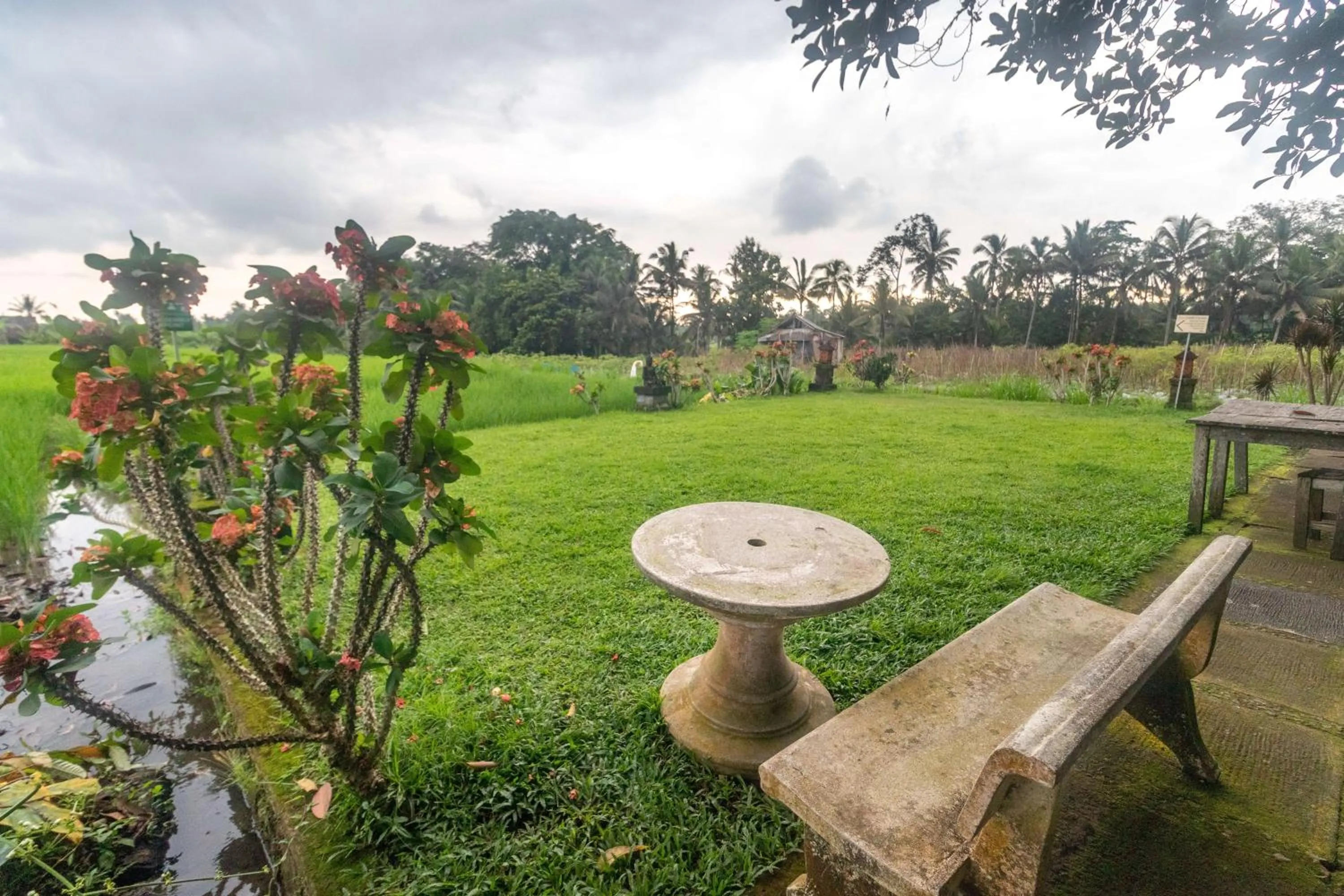 Garden in Umasari Rice Terrace Villa by AGATA
