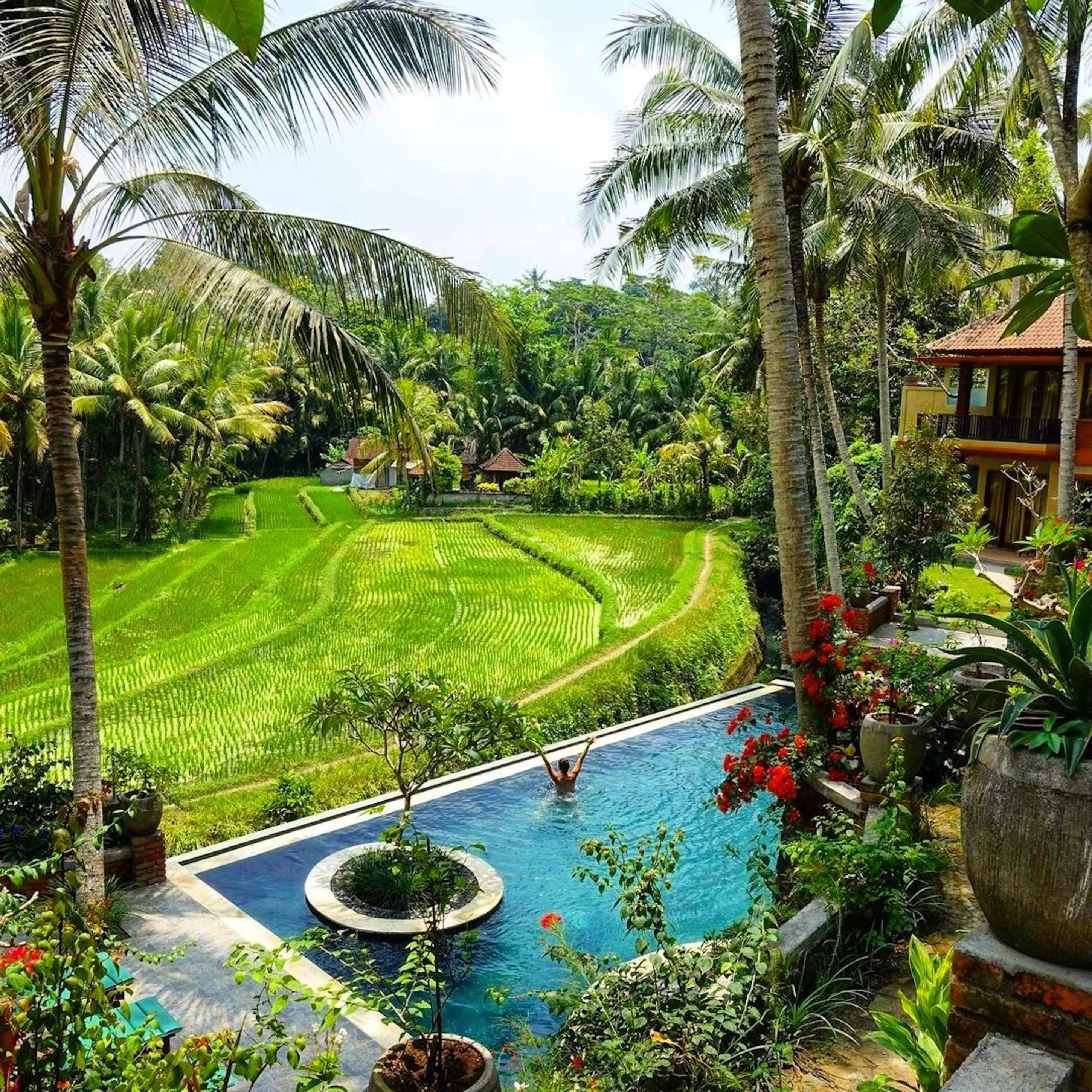 View (from property/room) in Umasari Rice Terrace Villa by AGATA