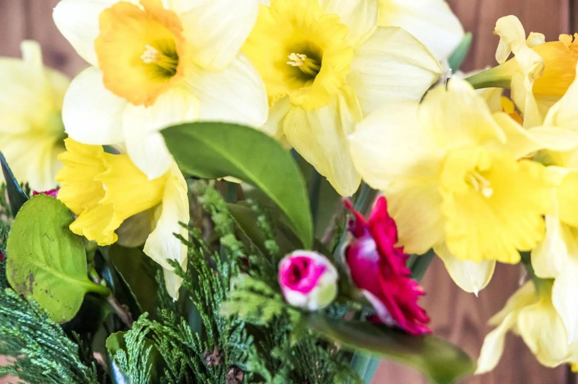 Floor plan in Ashgrove Farm - 1 Bedroom Apartment - Llawhaden - Narberth