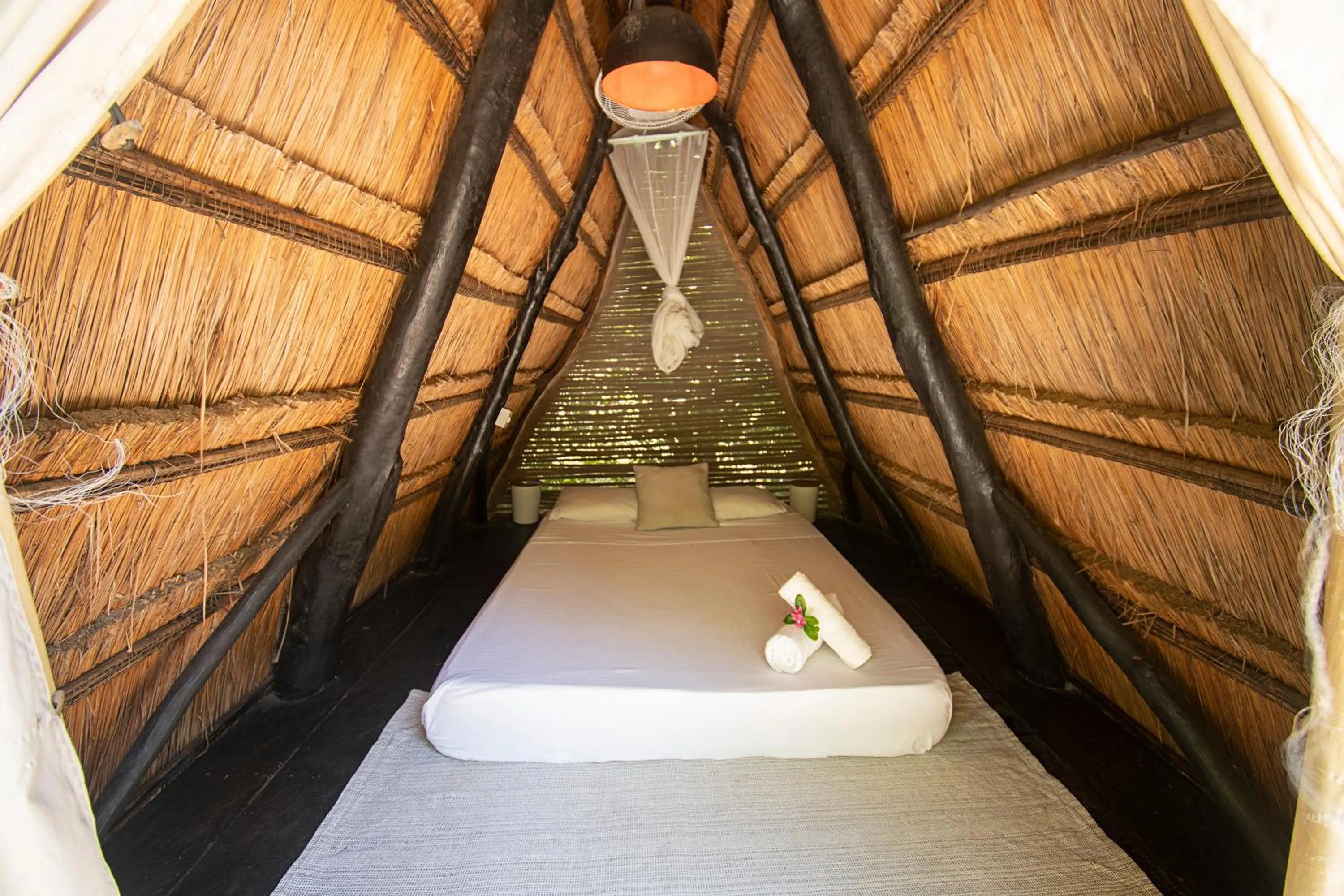 Bed in Santuario Beach Hostel