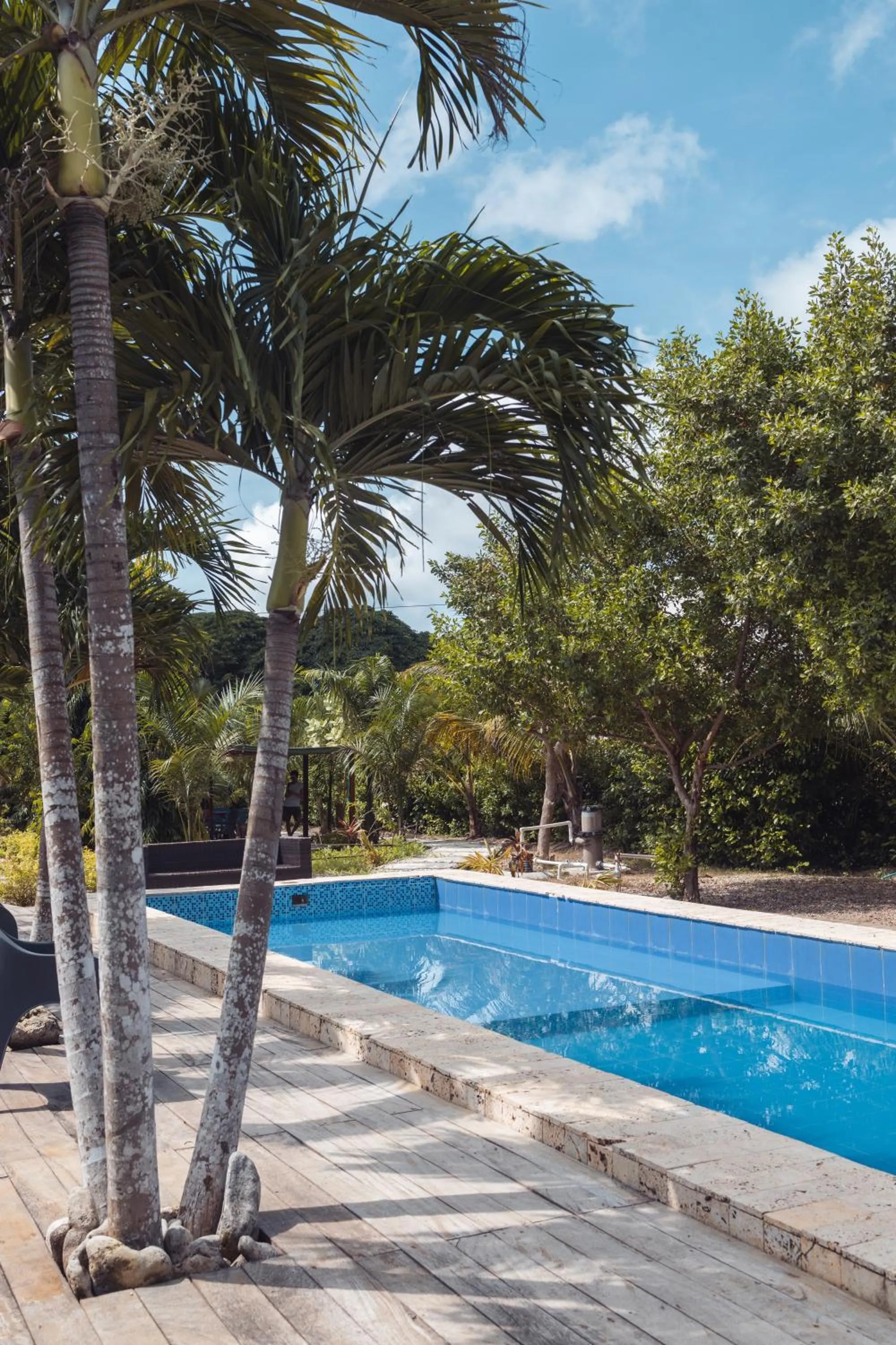 Pool view in Santuario Beach Hostel