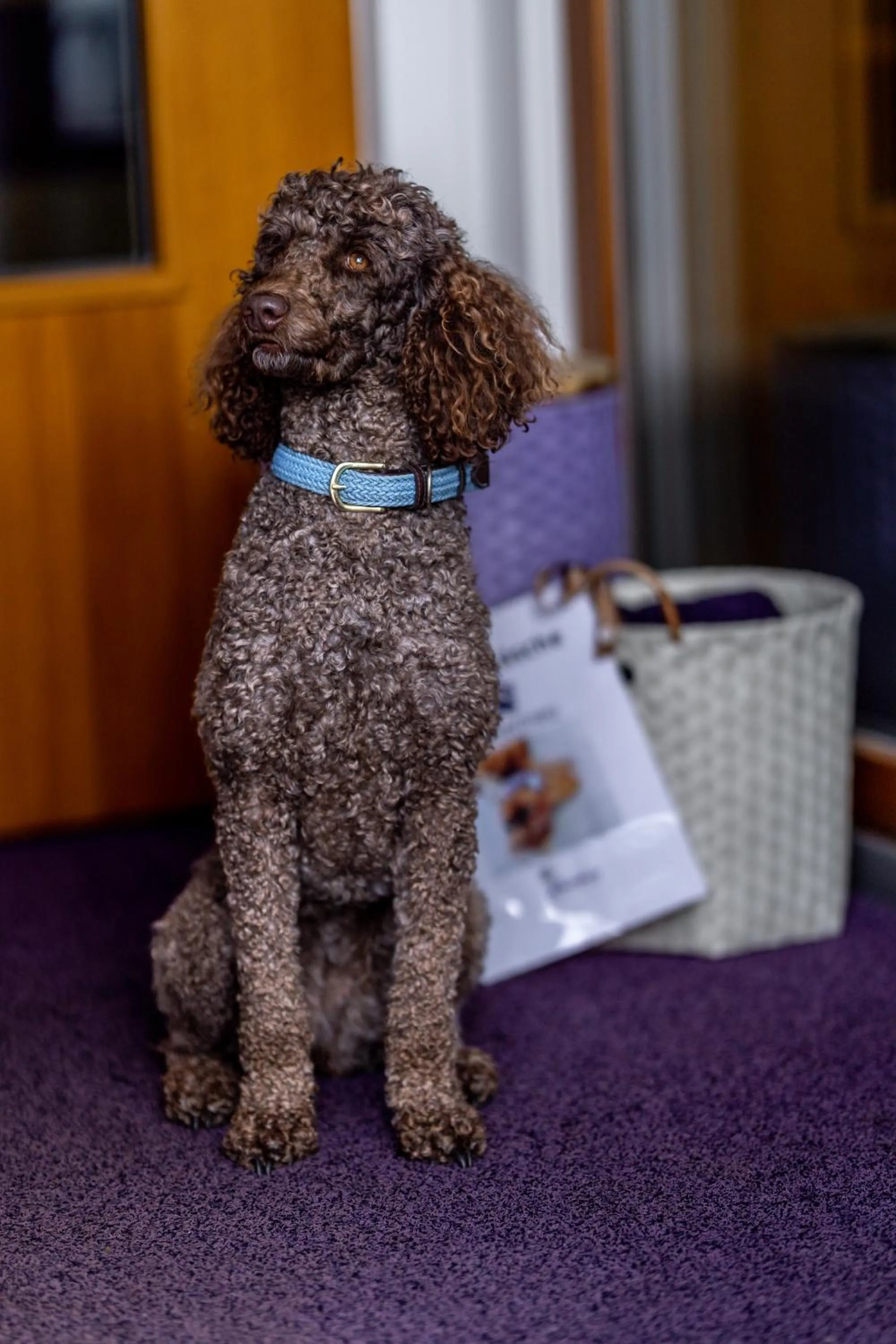 Sapia Hotel Rheinsberg